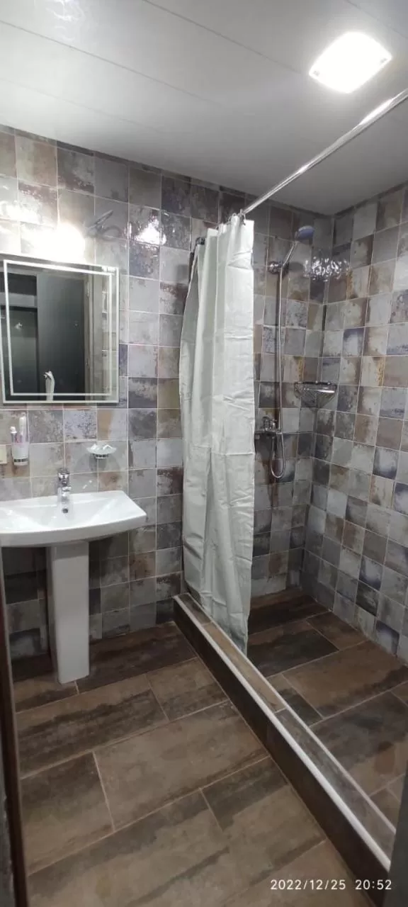 Bathroom in Frozen View New Gudauri