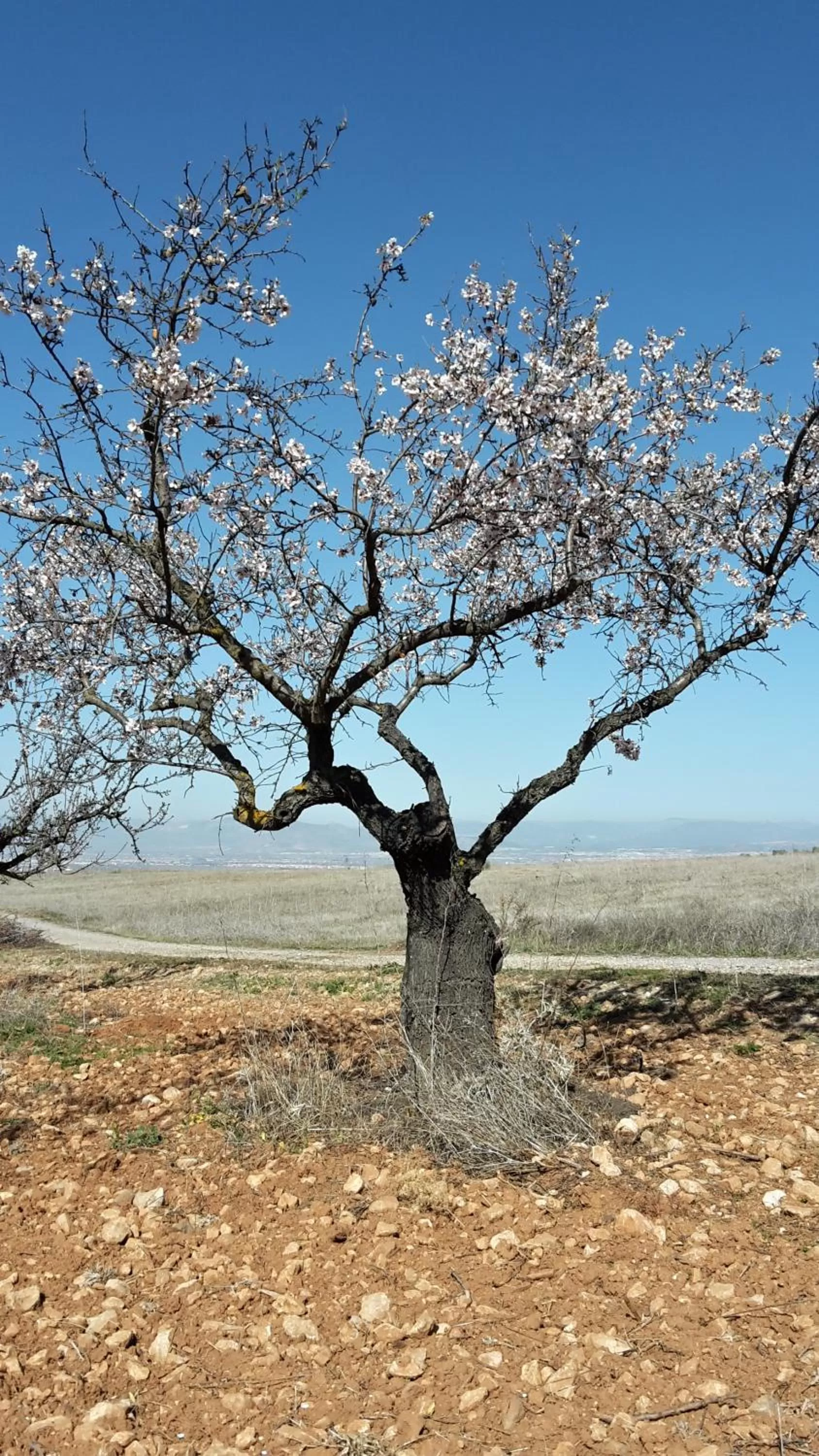 Natural Landscape in Chalet Trolio bed & breakfast