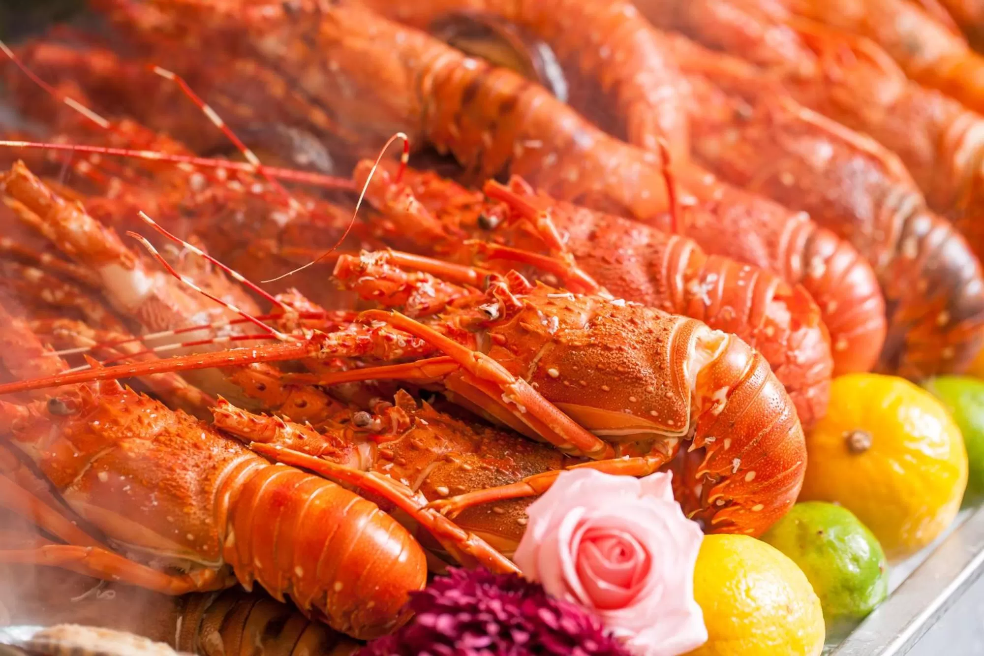 Restaurant/places to eat in Sofitel Guangzhou Sunrich