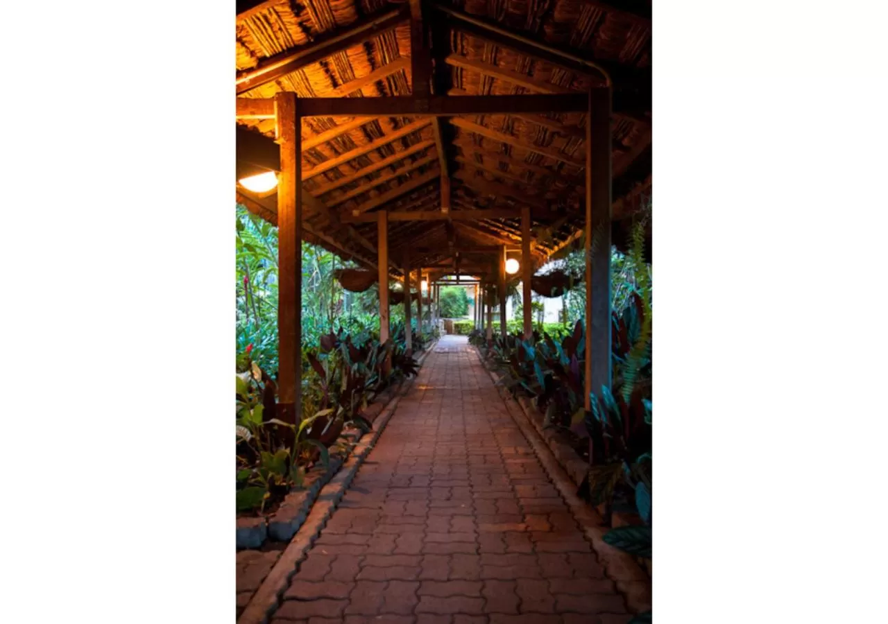 Garden in Bird Of Paradise Hotel
