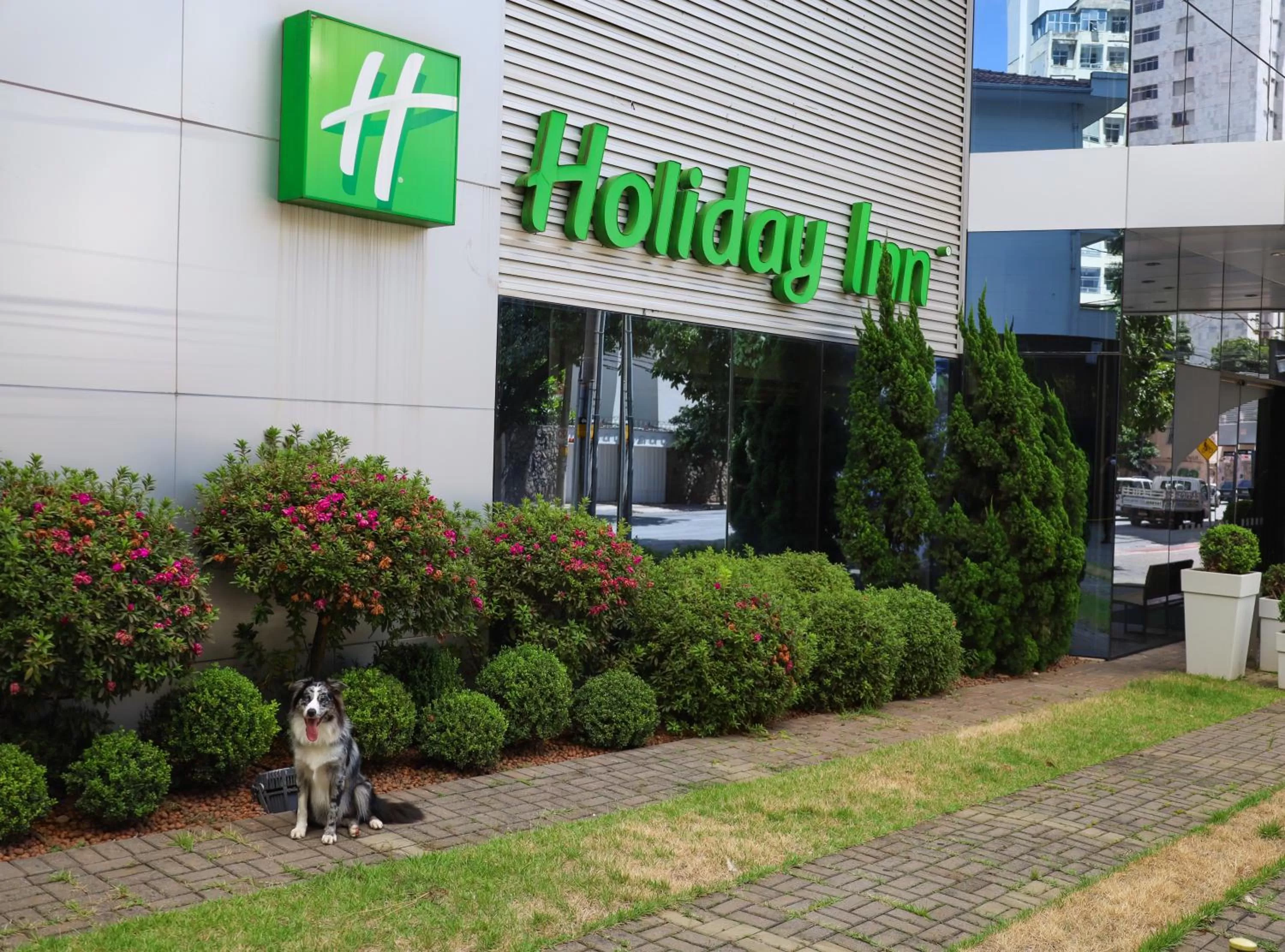 Holiday Inn Belo Horizonte Savassi by IHG
