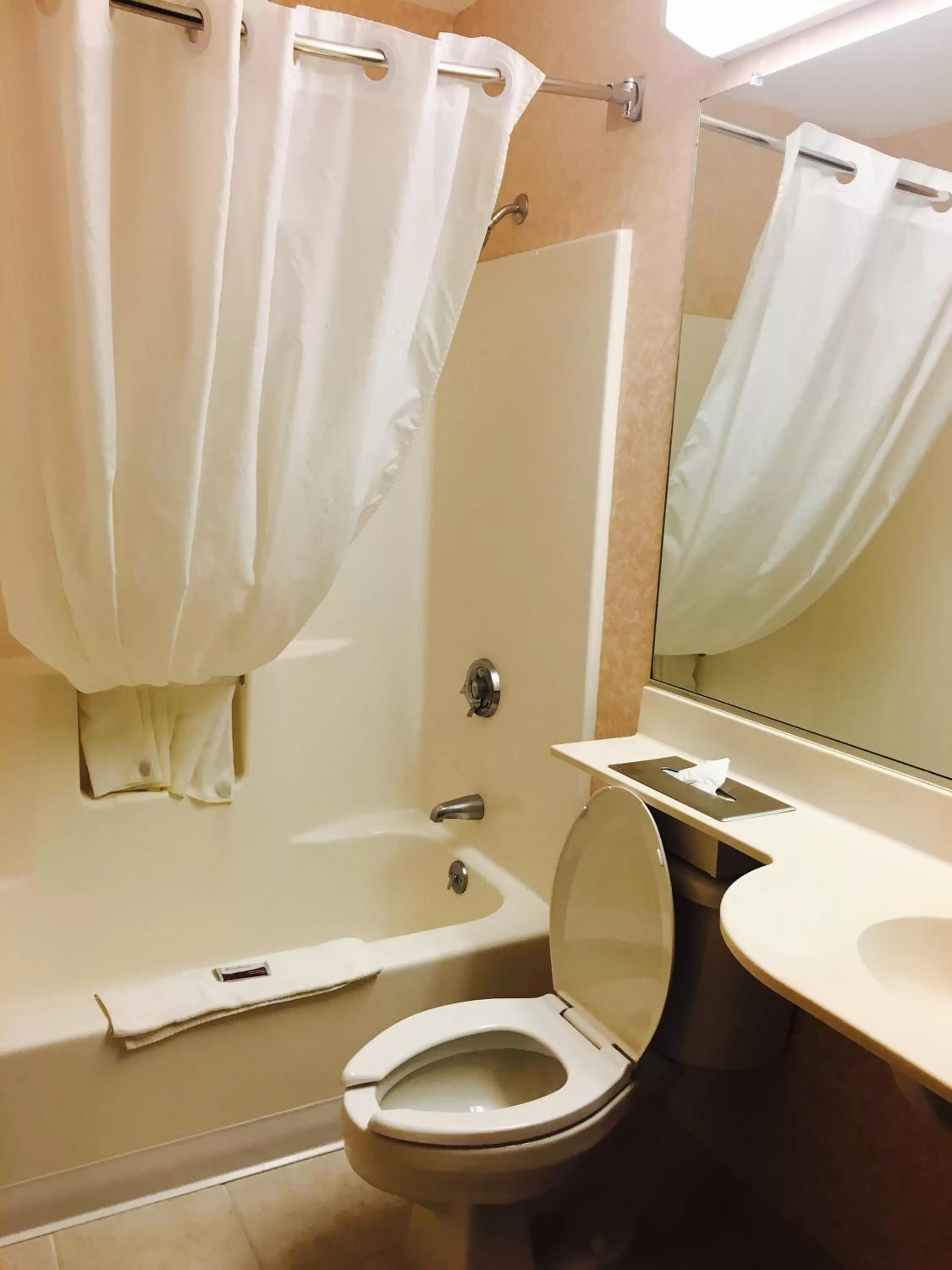 Bathroom in Microtel Inn & Suites by Wyndham Syracuse Baldwinsville