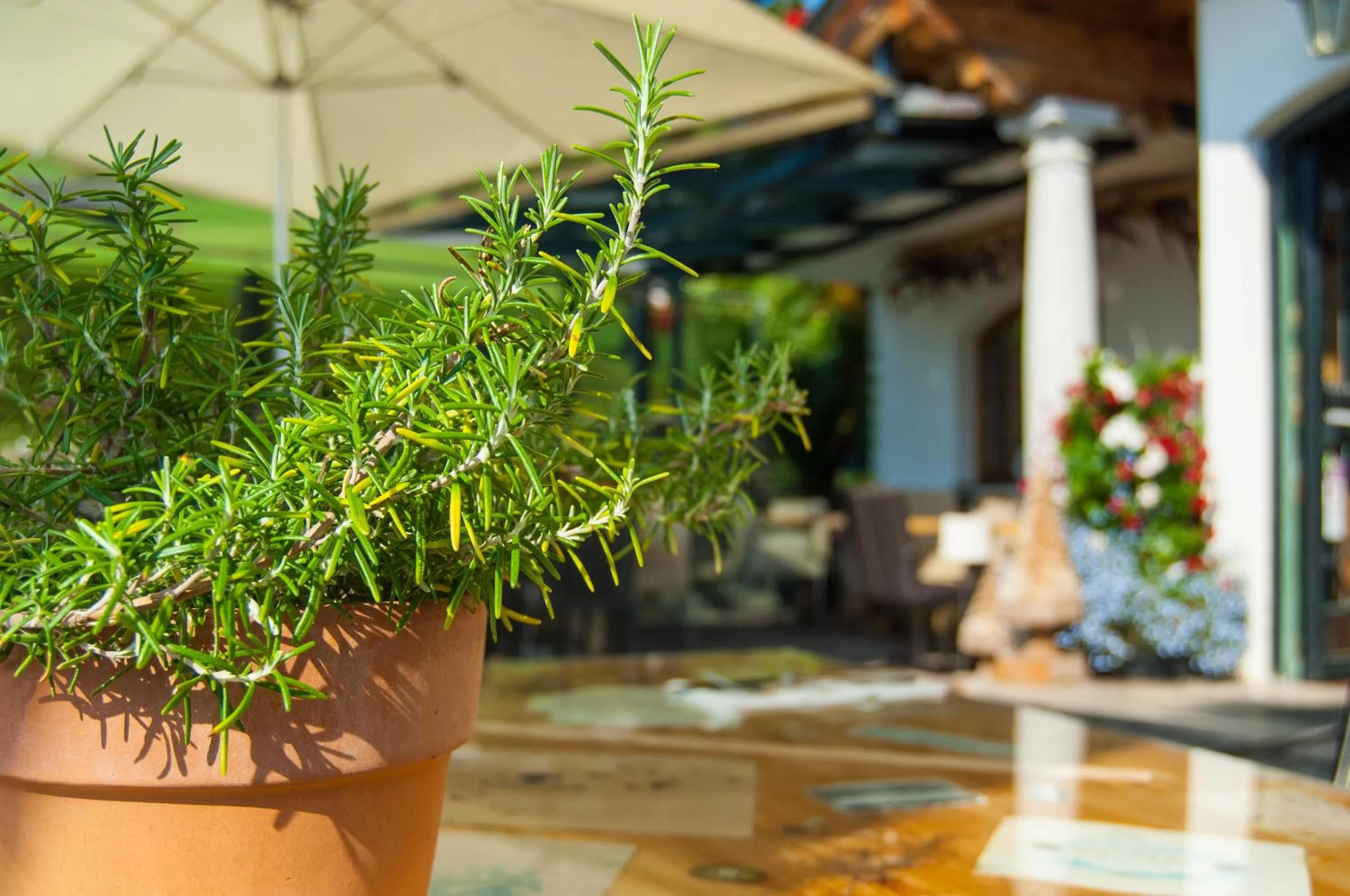 Summer in Hotel und Alpen Apartments mit Sauna - Bürglhöh