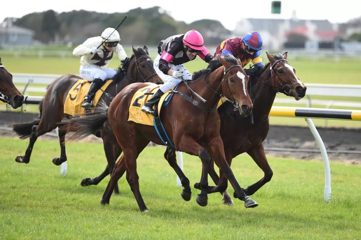 Nearby landmark in Parkside Motel and Apartments