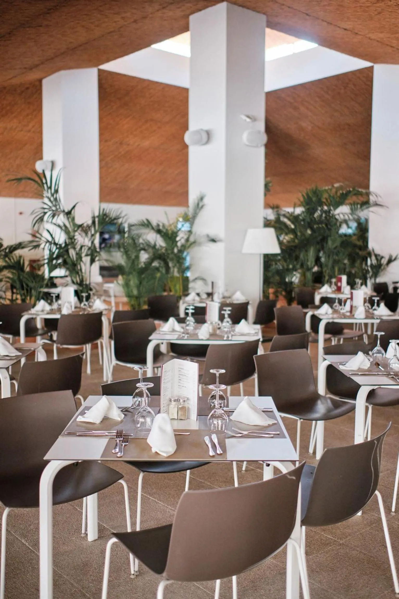 Restaurant/places to eat in Prinsotel La Pineda