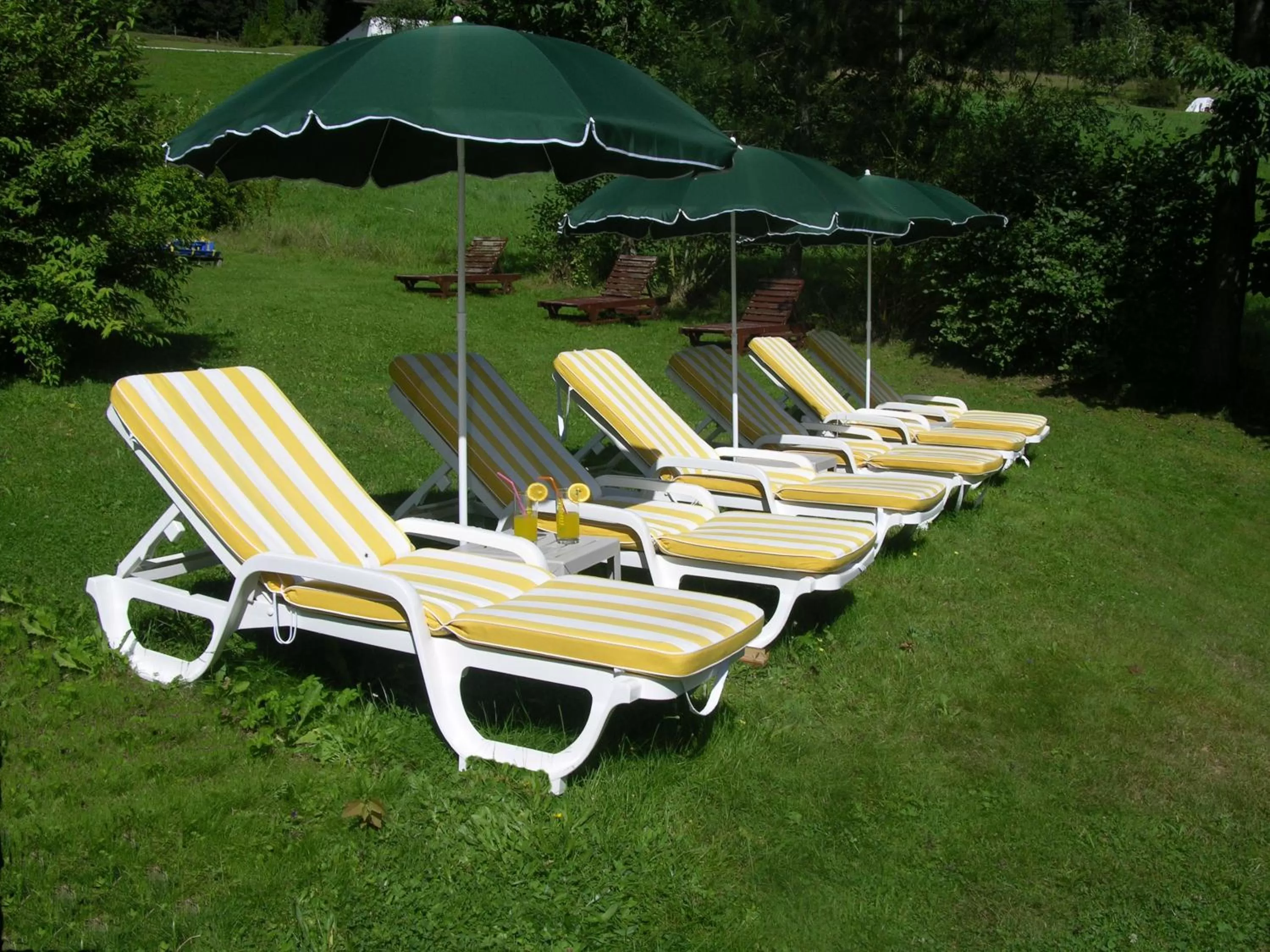 Garden in GarniHotel - Arberblick