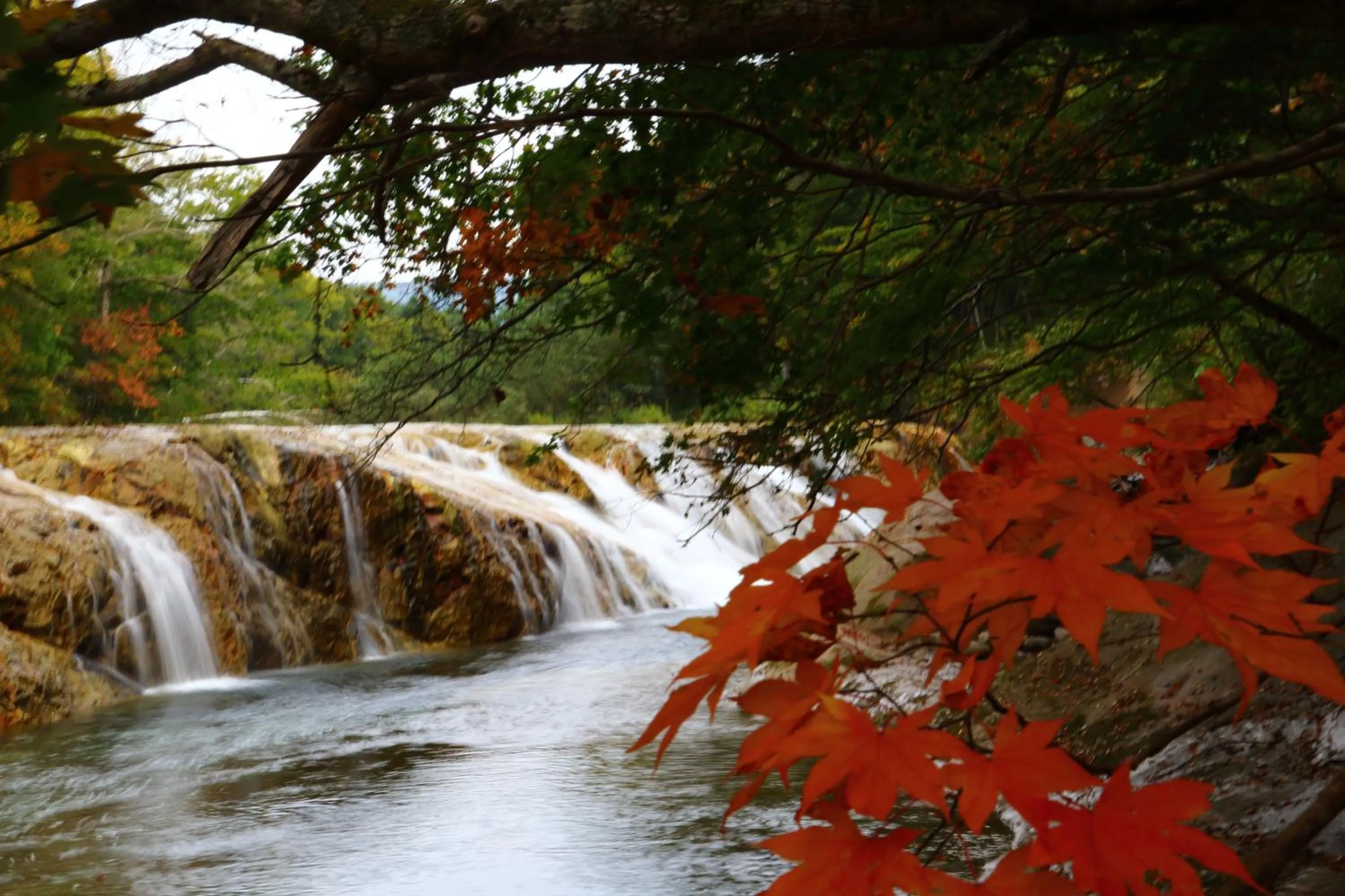 Natural landscape in Kitayuzawa Mori no soraniwa