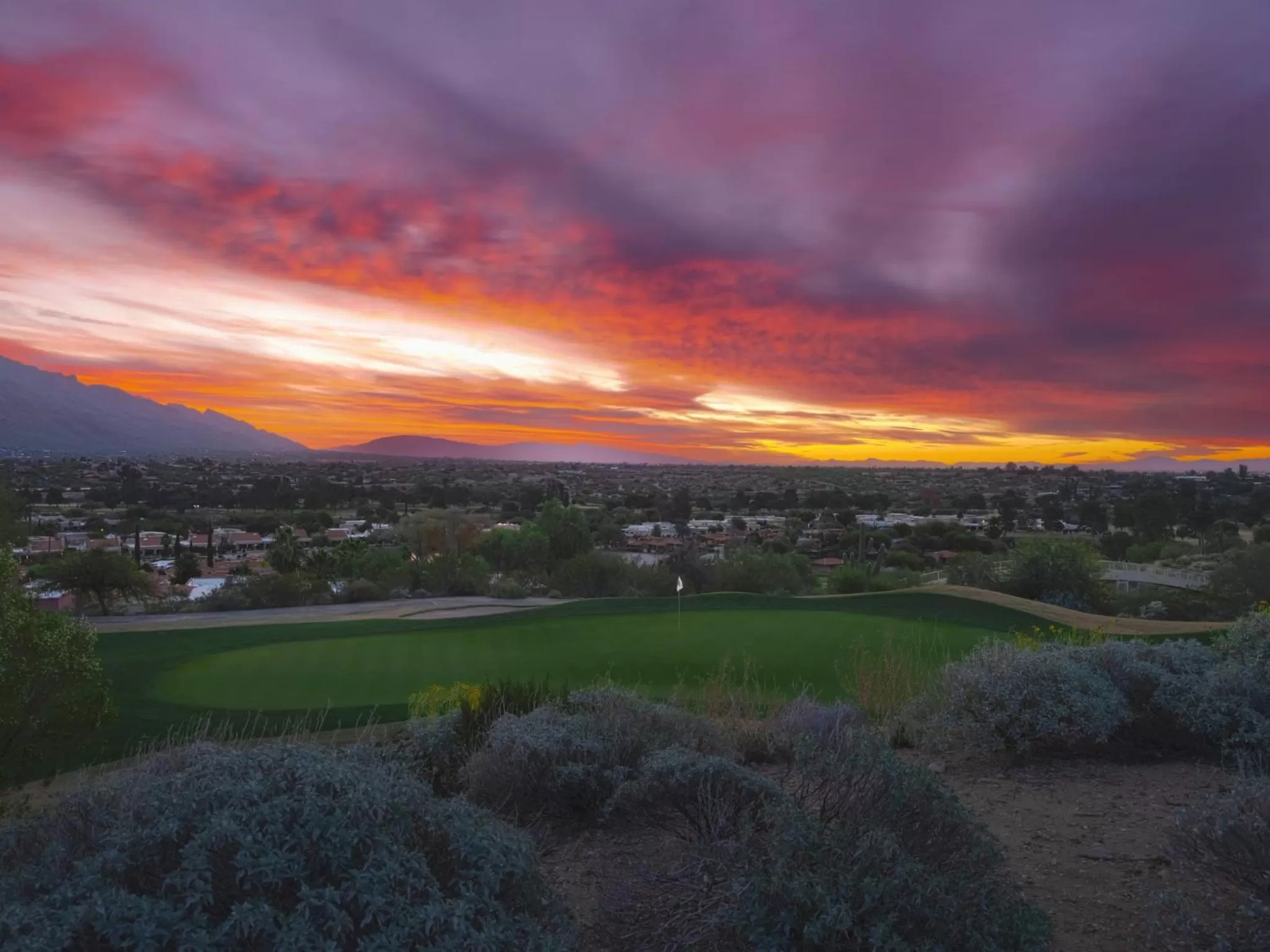 Golfcourse in Omni Tucson National Resort & Spa