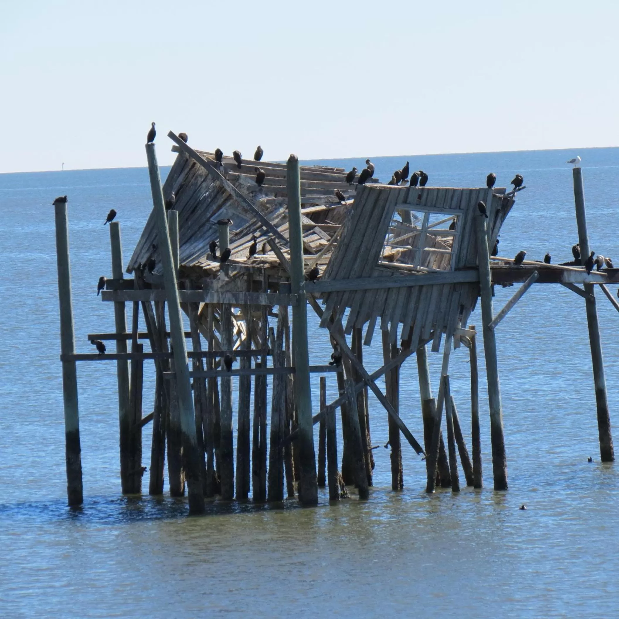 Other in Beach Front Motel Cedar Key
