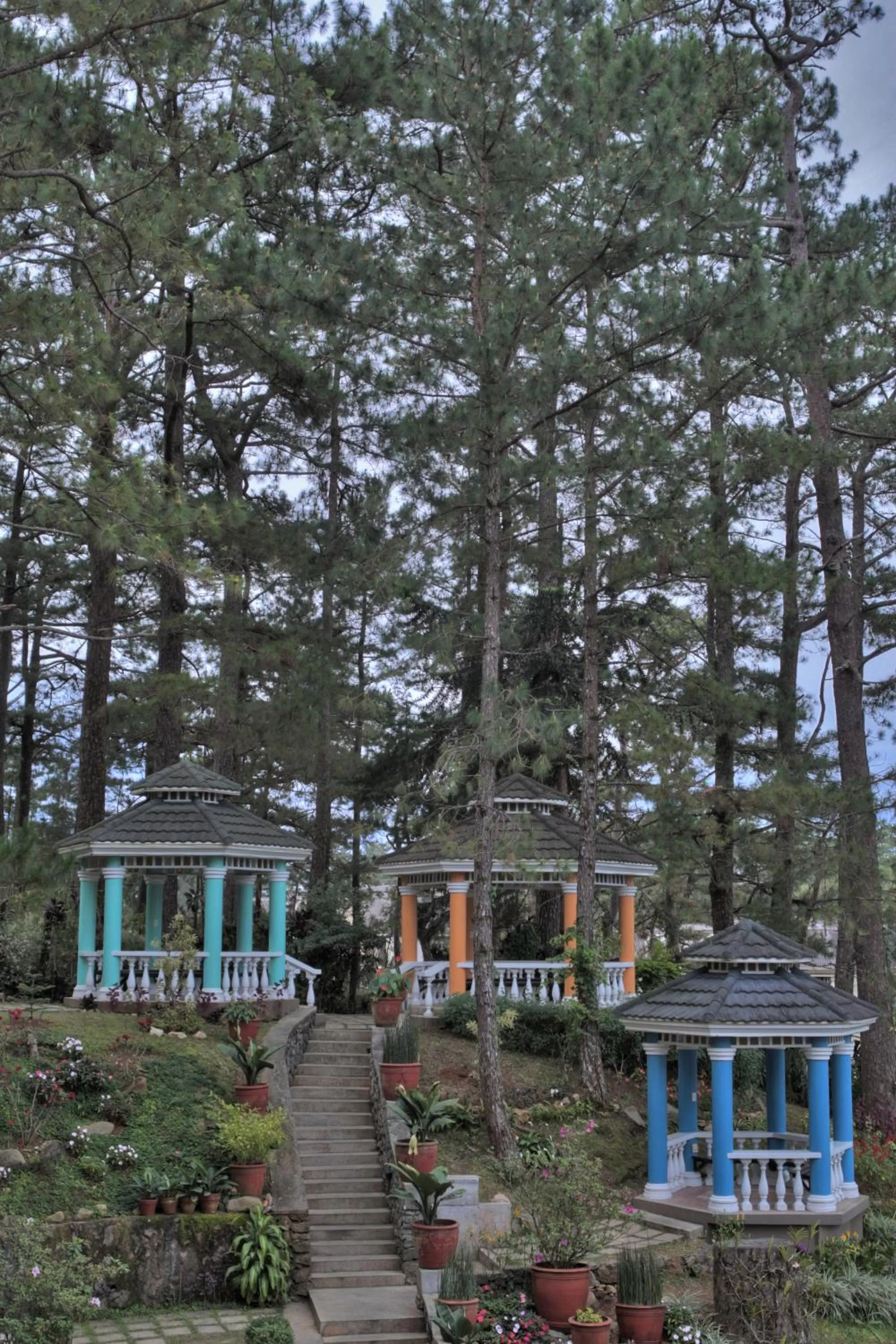 Garden in Hotel Elizabeth - Baguio