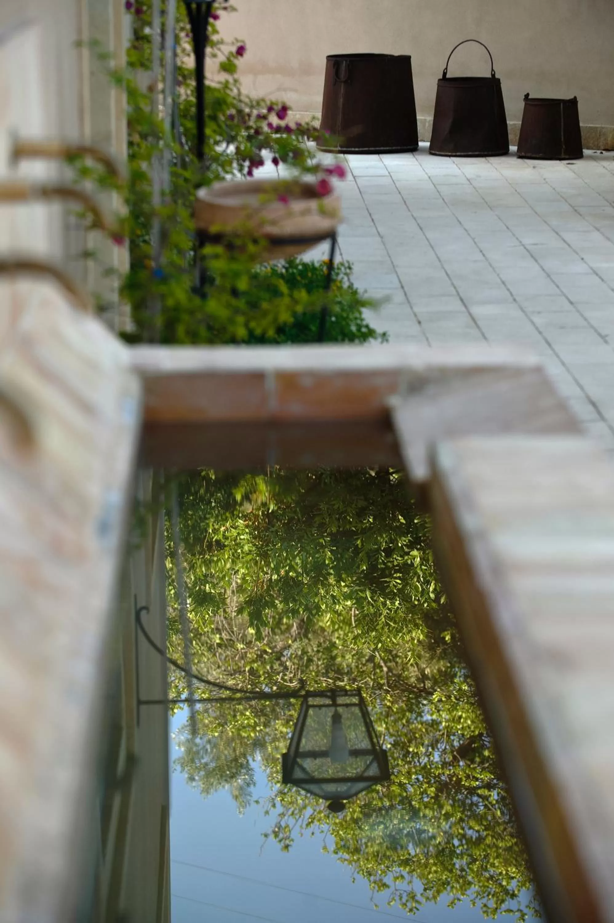 Facade/entrance in Relais Parco Cavalonga