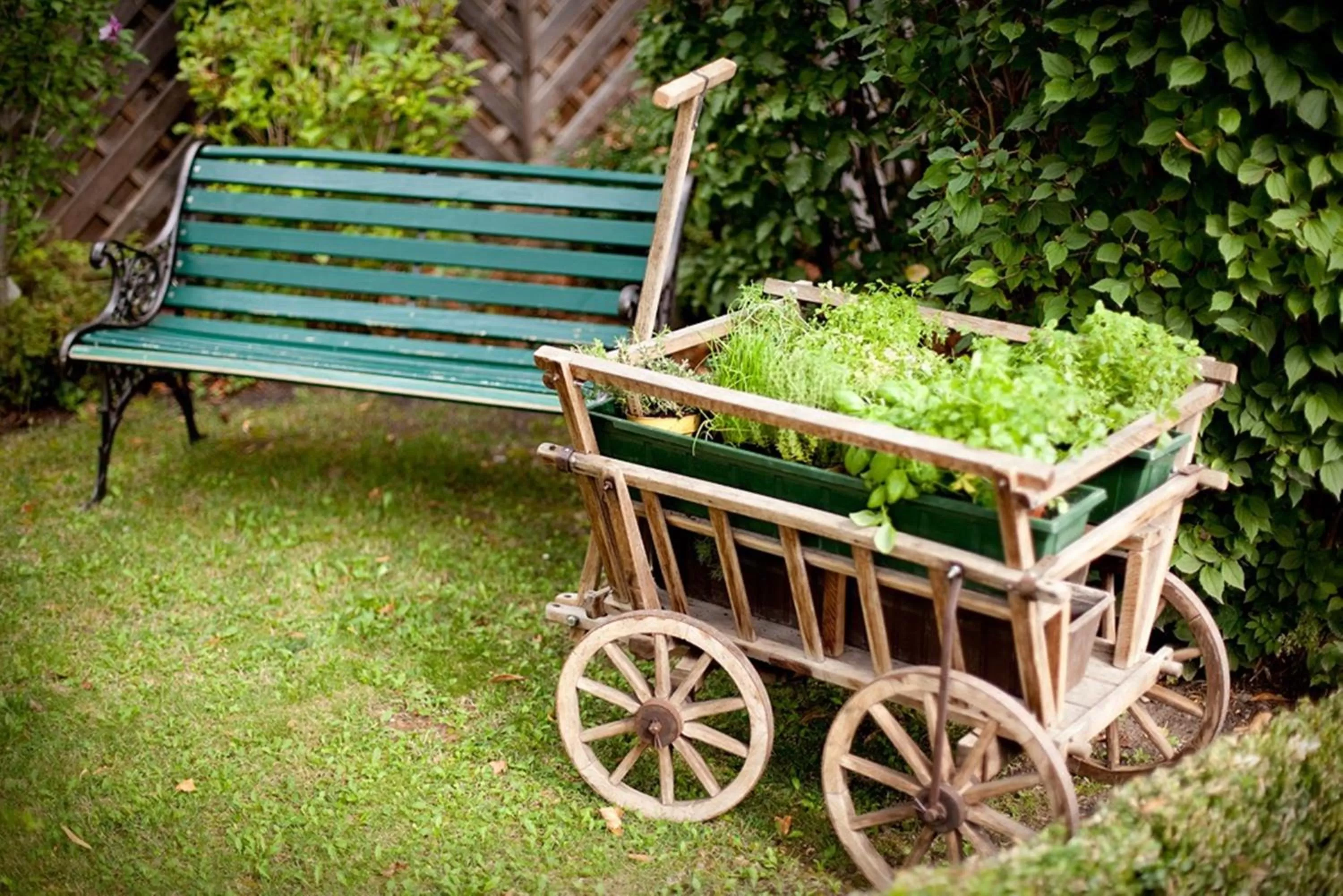 Patio in Hotel Schäfflerwirt