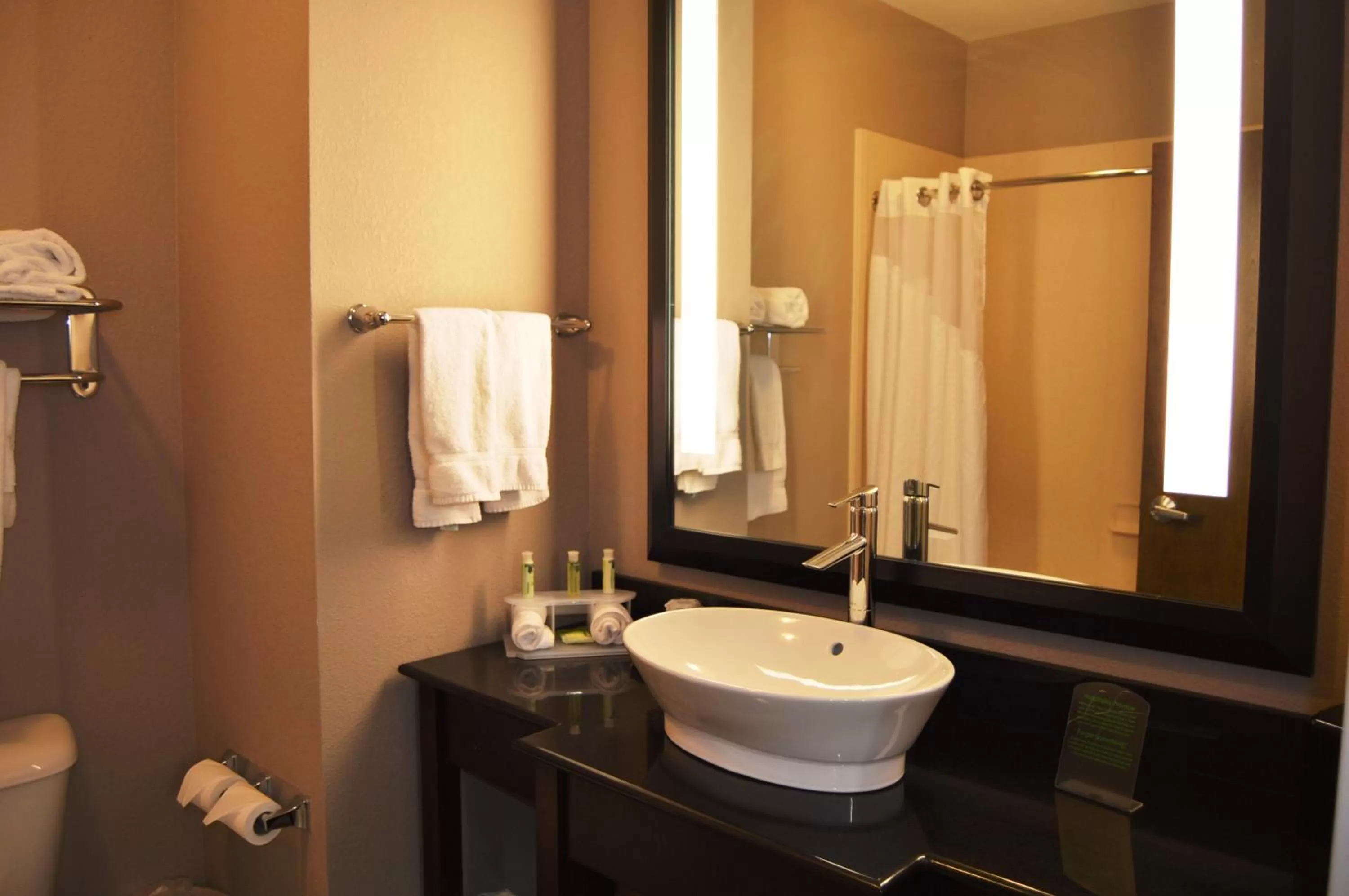 Bathroom in Holiday Inn Express El Reno by IHG