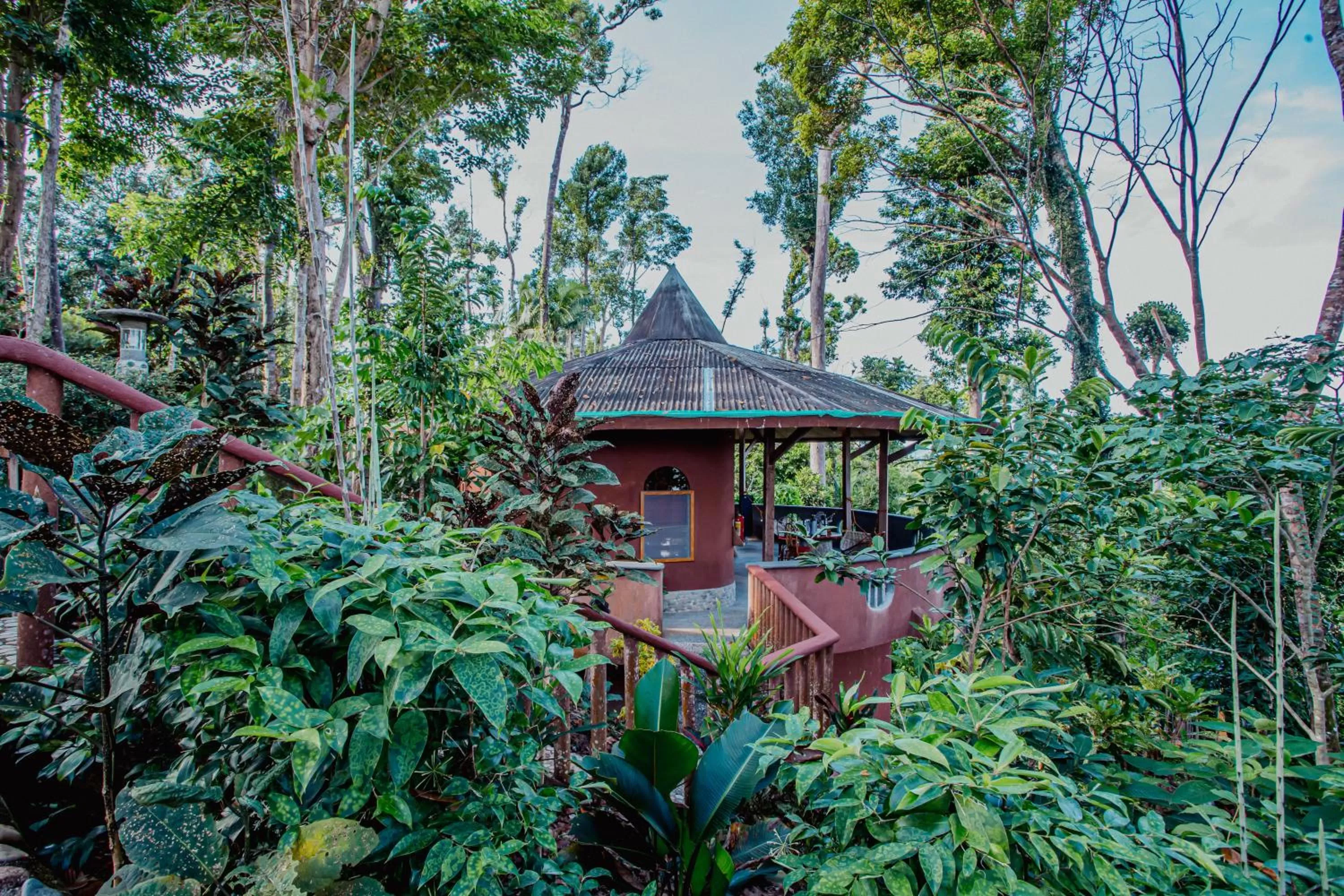 Day in Atremaru Jungle Retreat