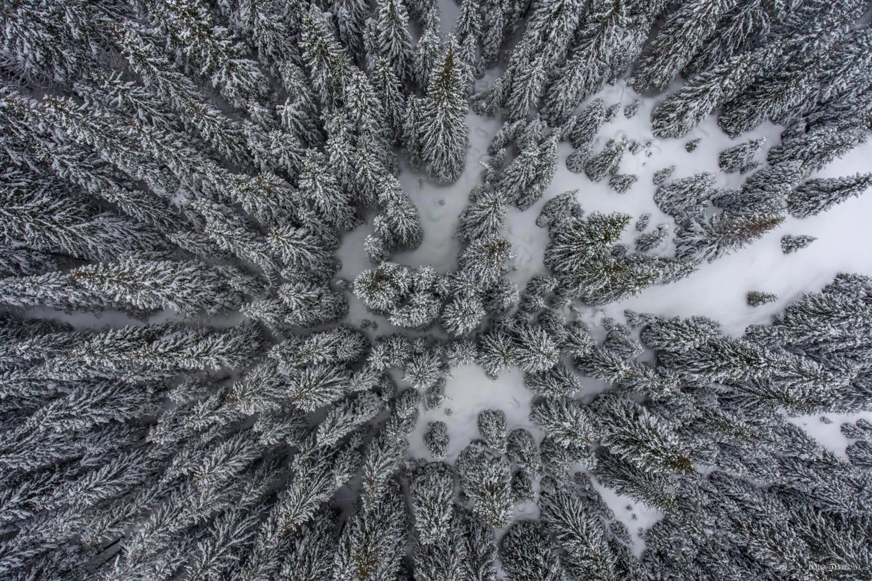 Natural landscape, Winter in Hotel Belmont