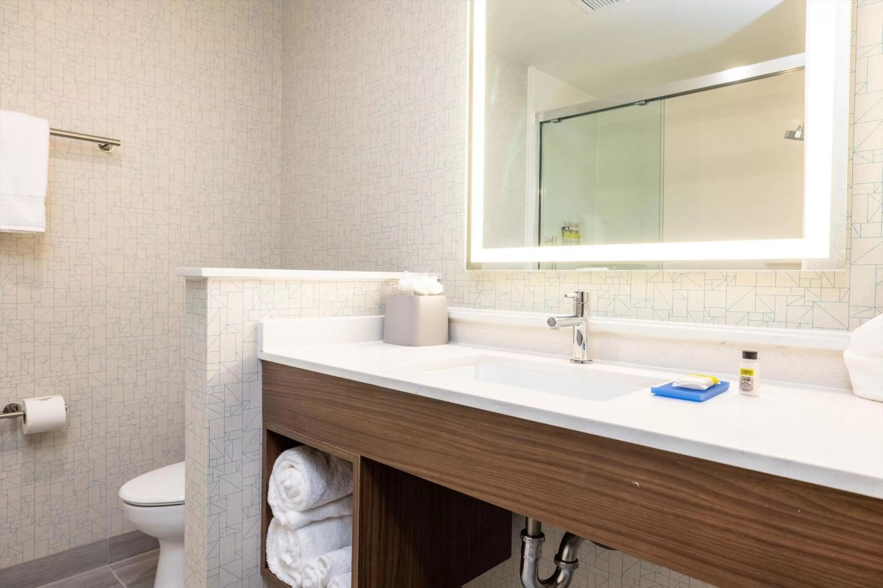 Bathroom in Holiday Inn Express & Suites - San Jose Silicon Valley by IHG