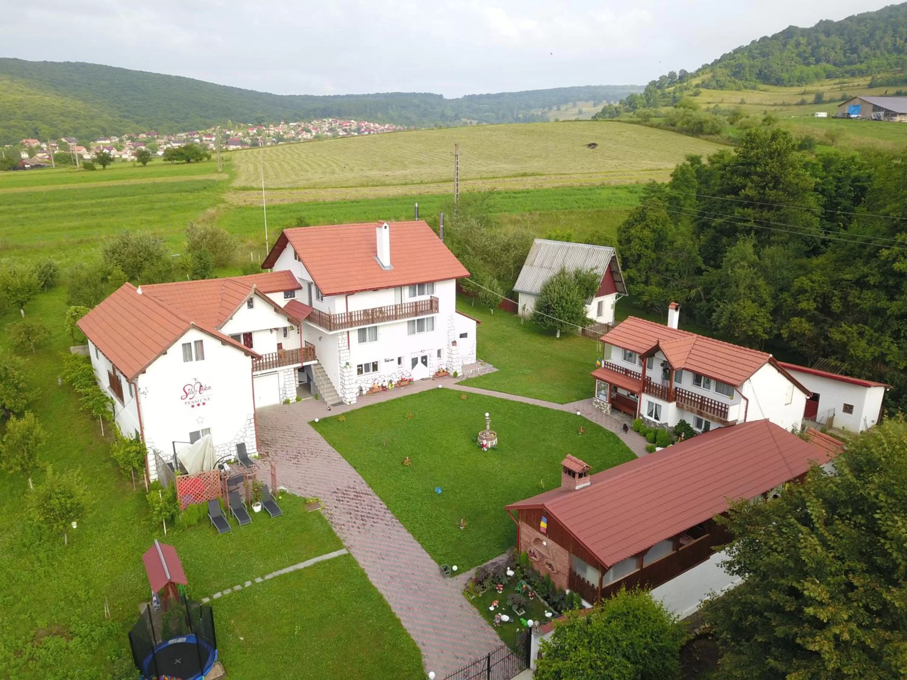 Property building, Bird's-eye View in Pensiunea SilvAnka