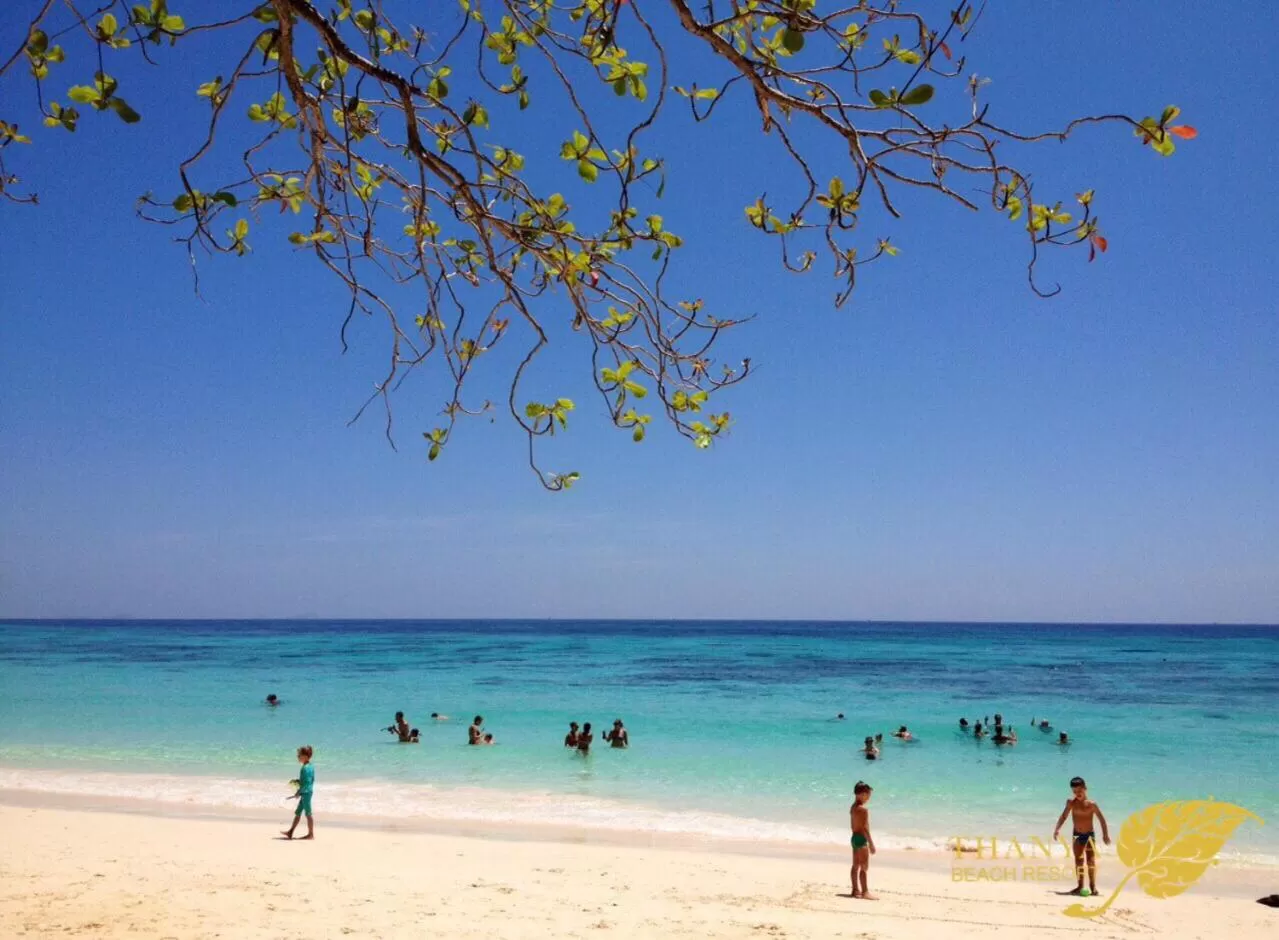 Day in Thanya Beach Resort - SHA Plus