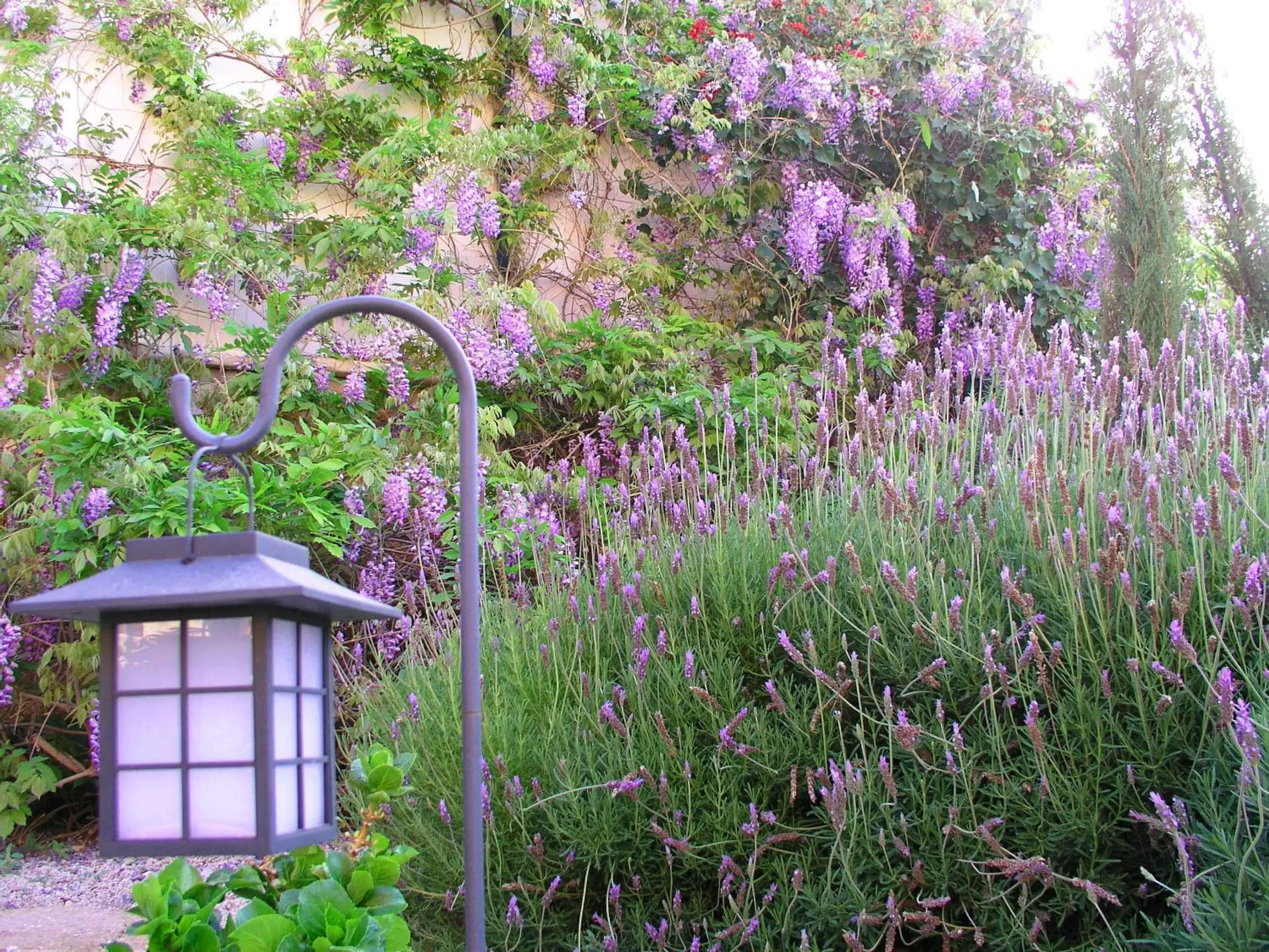 Garden in Hotel Rural San Miguel - Only Adults