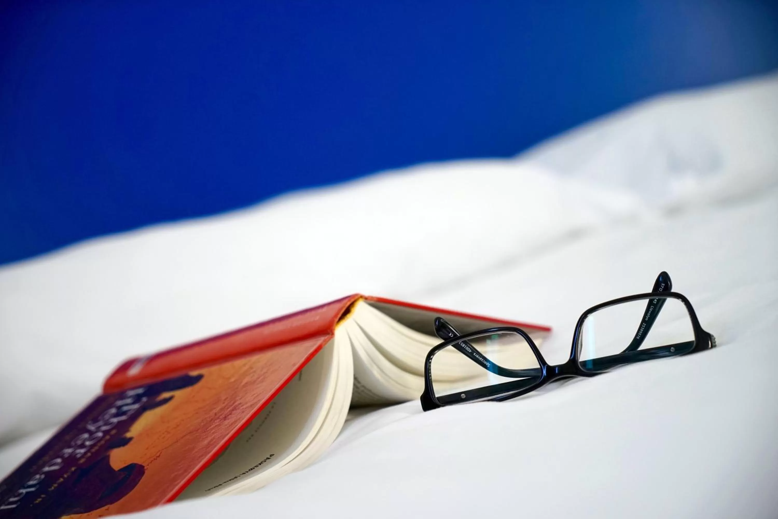 Activities in Plaza Azul