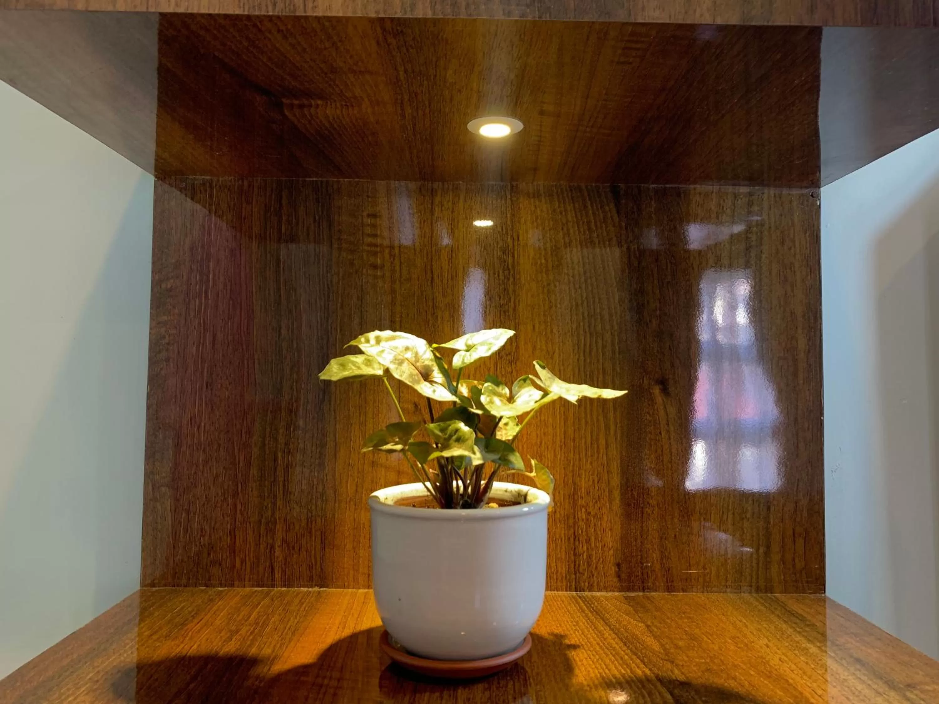 Decorative detail in Hotel ABC, Boutique Hotel in Pokhara