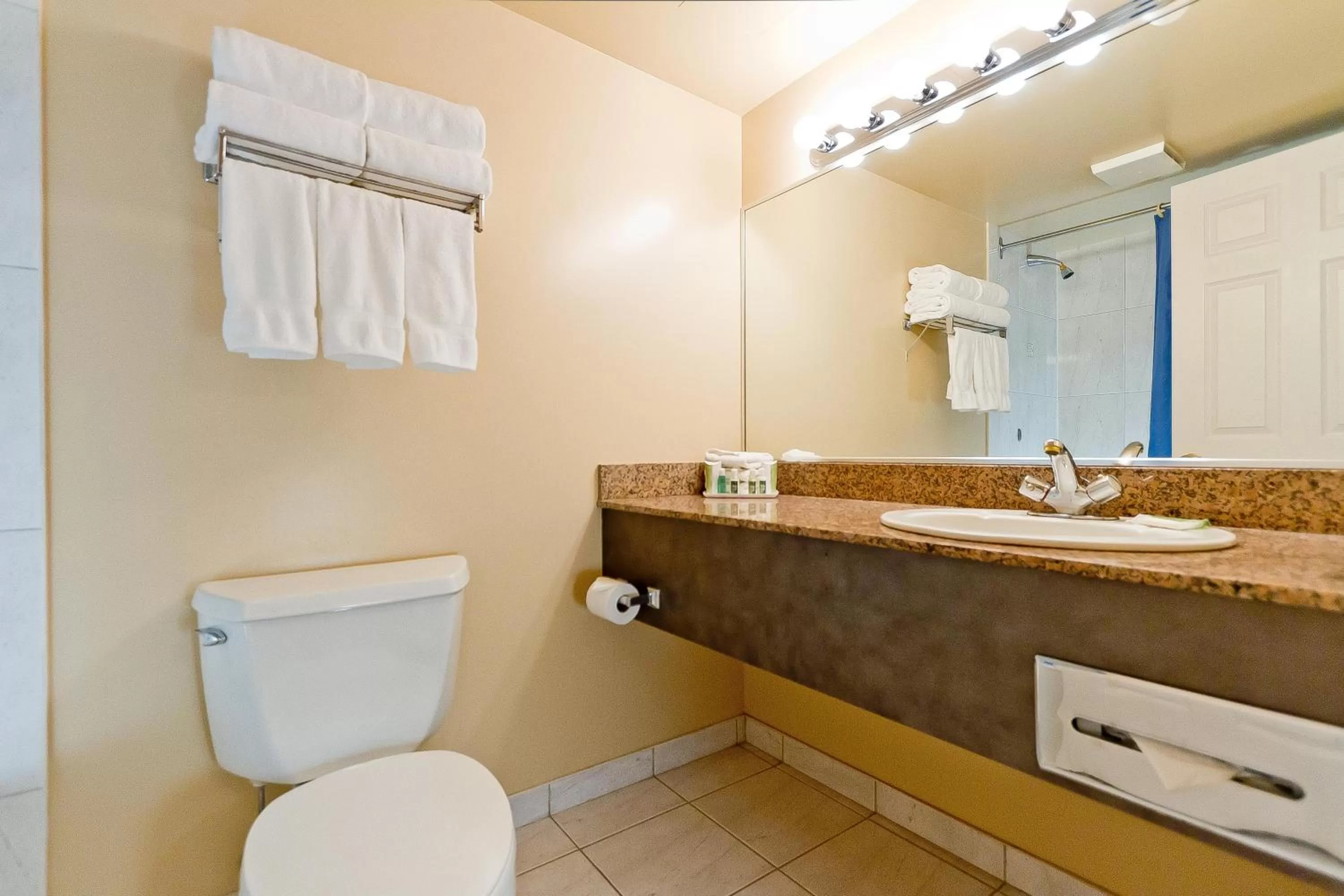 Bathroom in Rosedale on Robson Suite Hotel