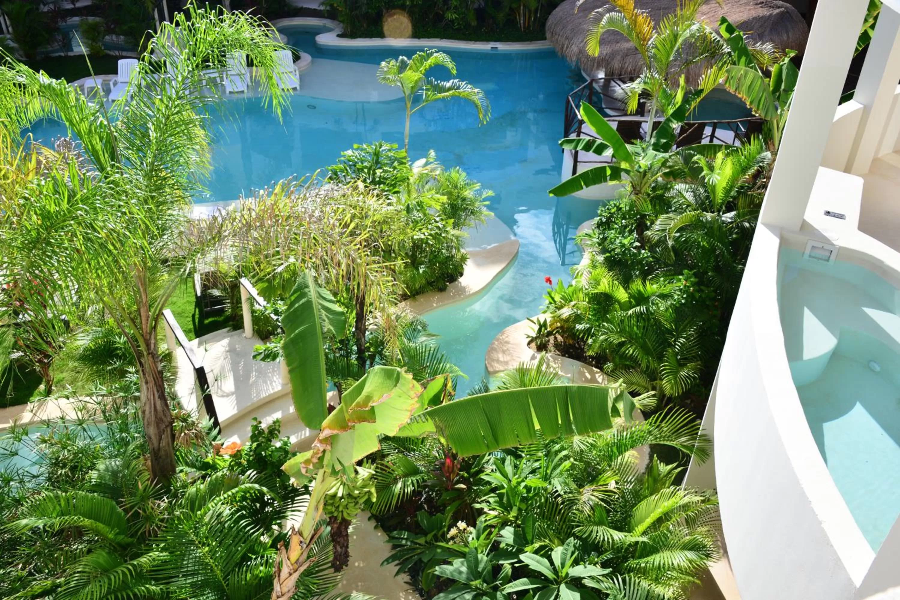 Swimming pool in Intima Resort Tulum Adults Only (Clothing Optional)