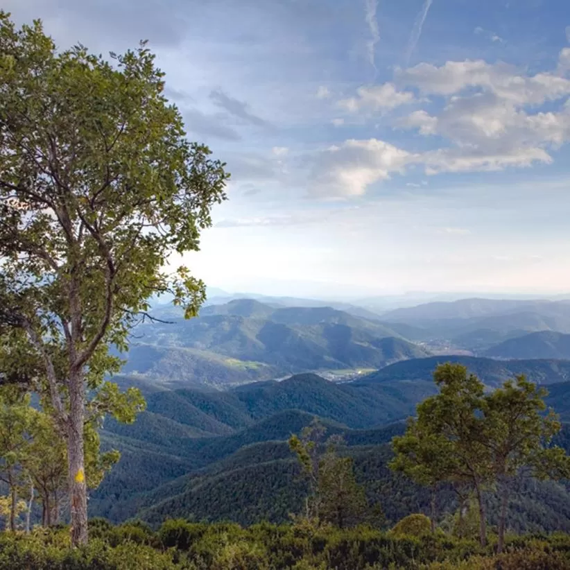 Hiking, Mountain View in Hotel Catalunya Ribes de Freser
