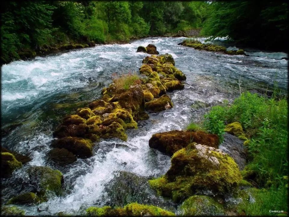 Bed and Breakfast Family Djukic