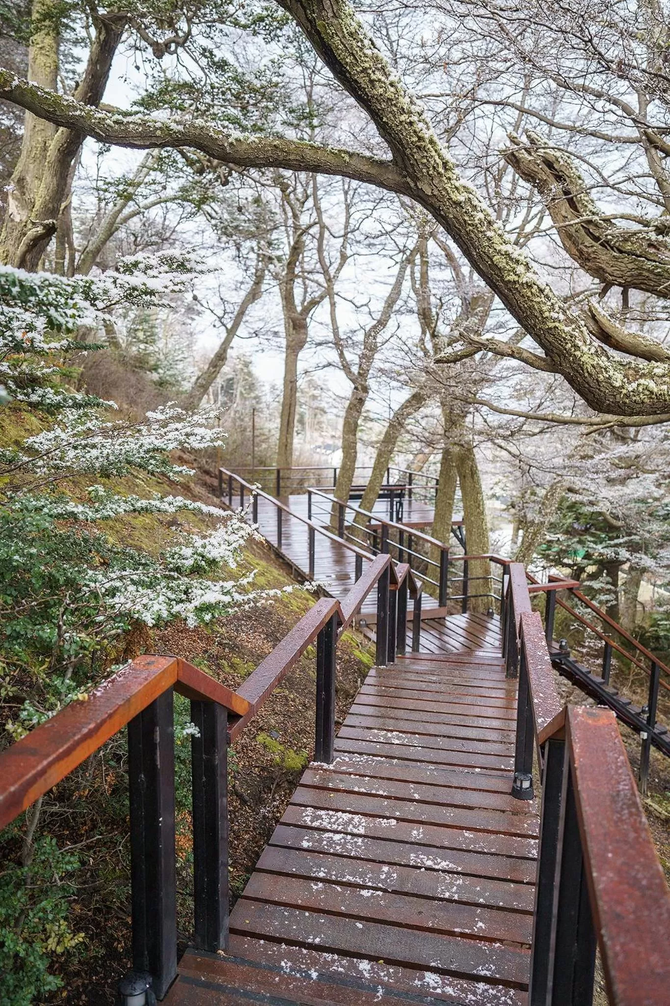 Nearby landmark in Los Ñires Ushuaia