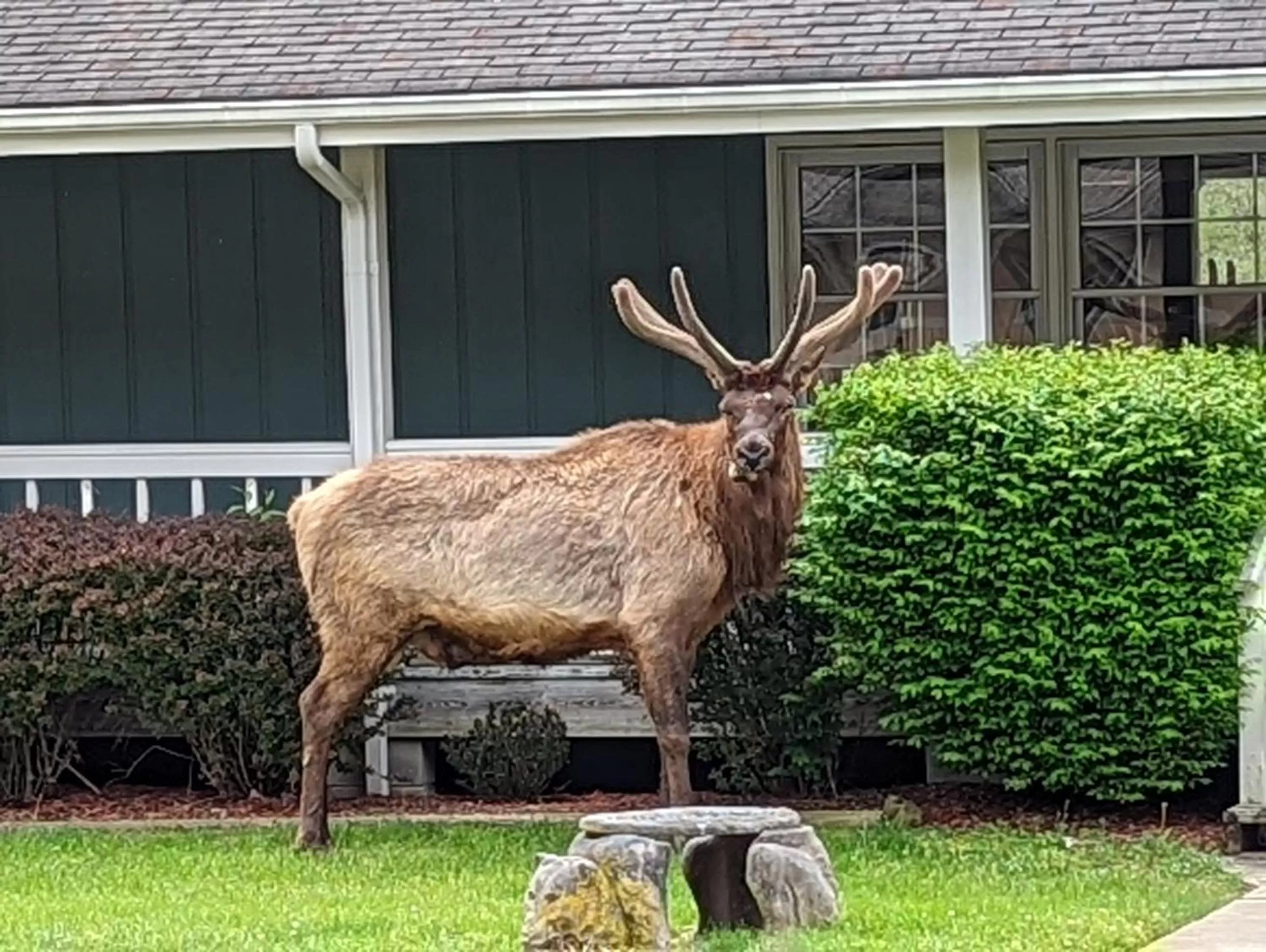 Other in Quality Inn Cherokee Riverside