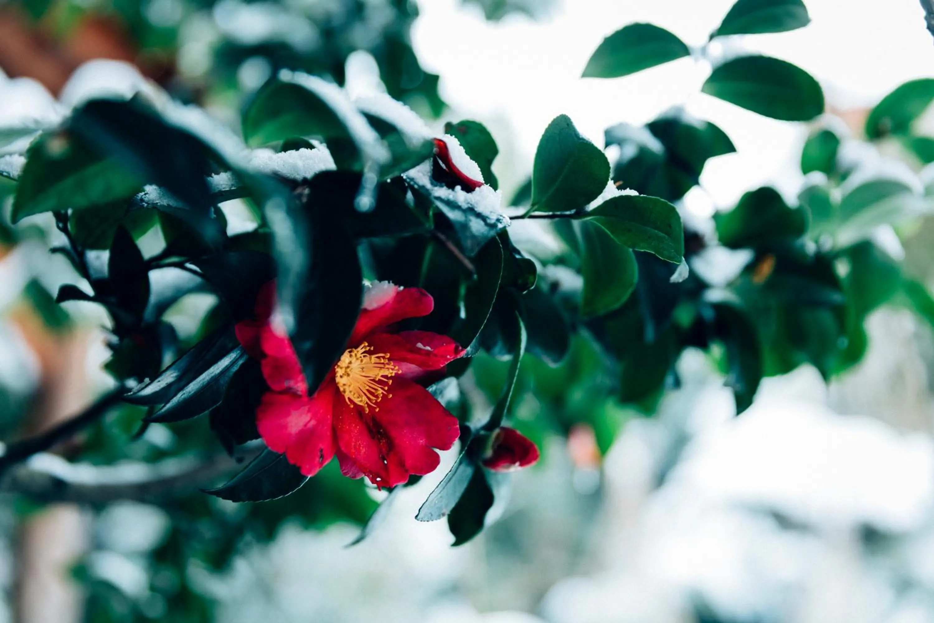 Nearby landmark in Hatori