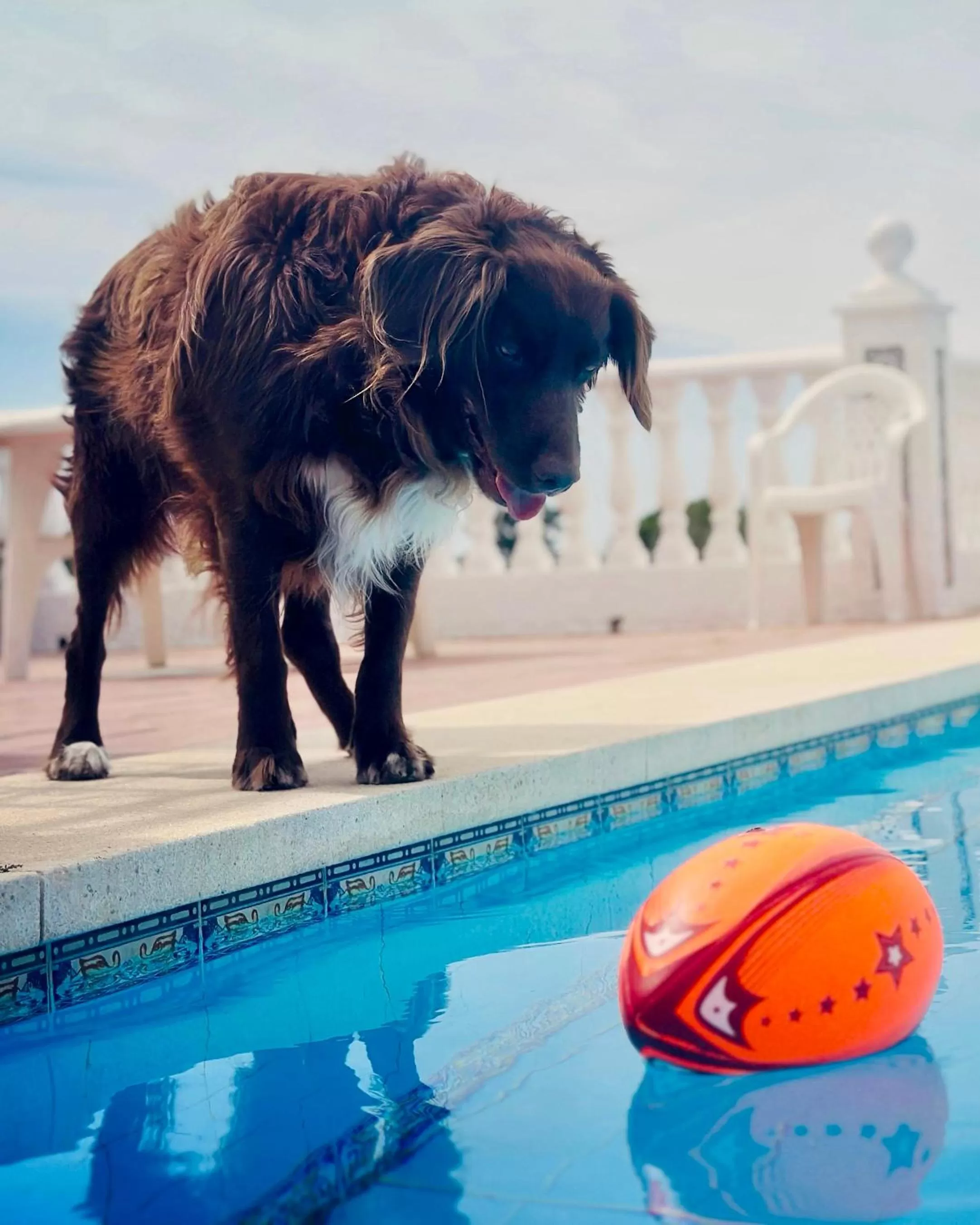 Swimming Pool in Casa Hermosa Mijas