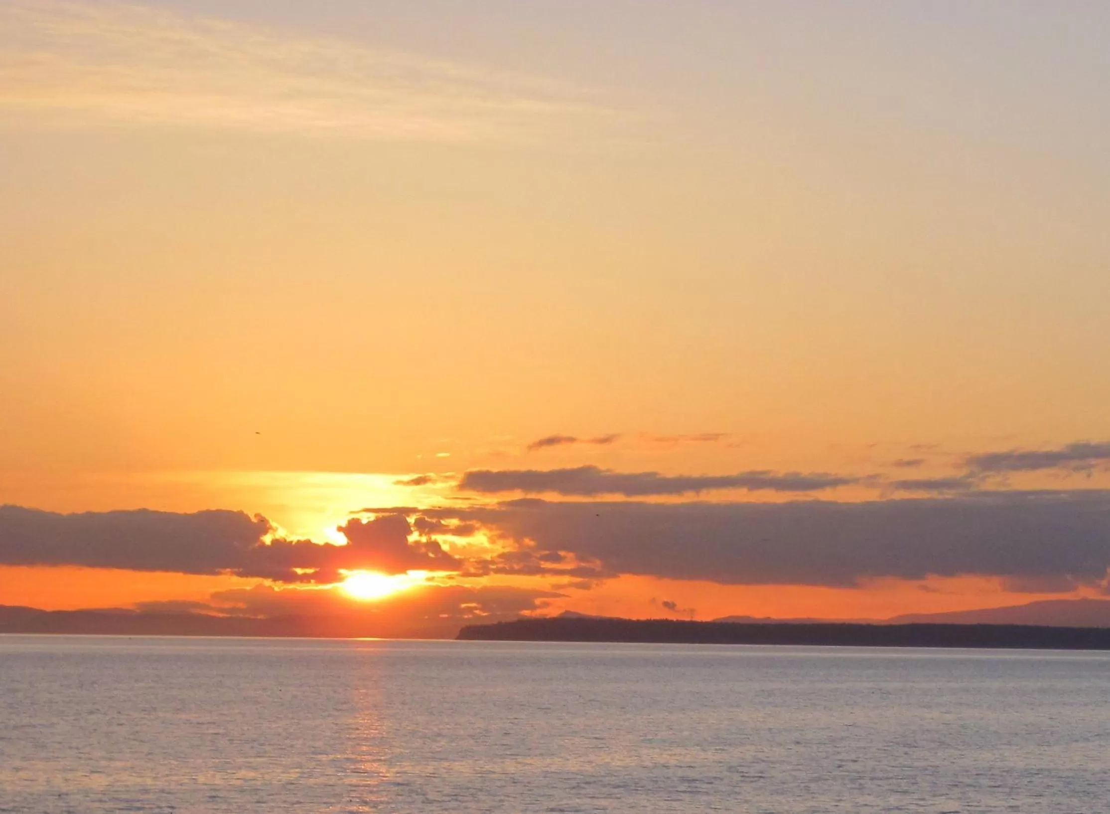 View (from property/room) in Ocean Promenade Hotel