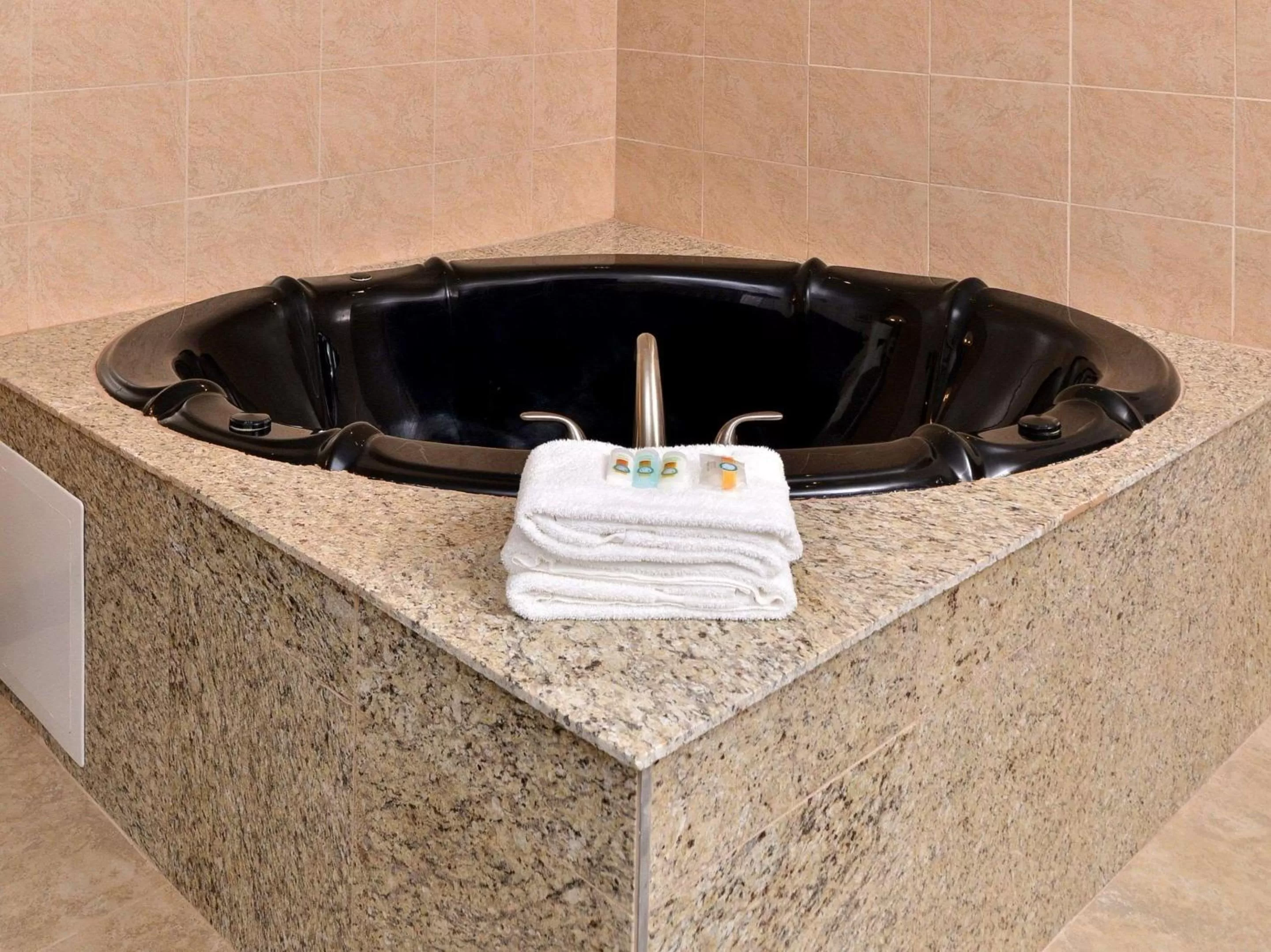 Photo of the whole room in Quality Inn & Suites Matteson near I-57