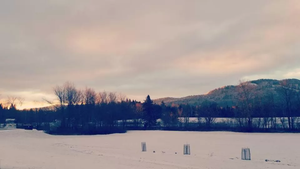 Natural landscape in Spillover Motel and Inn