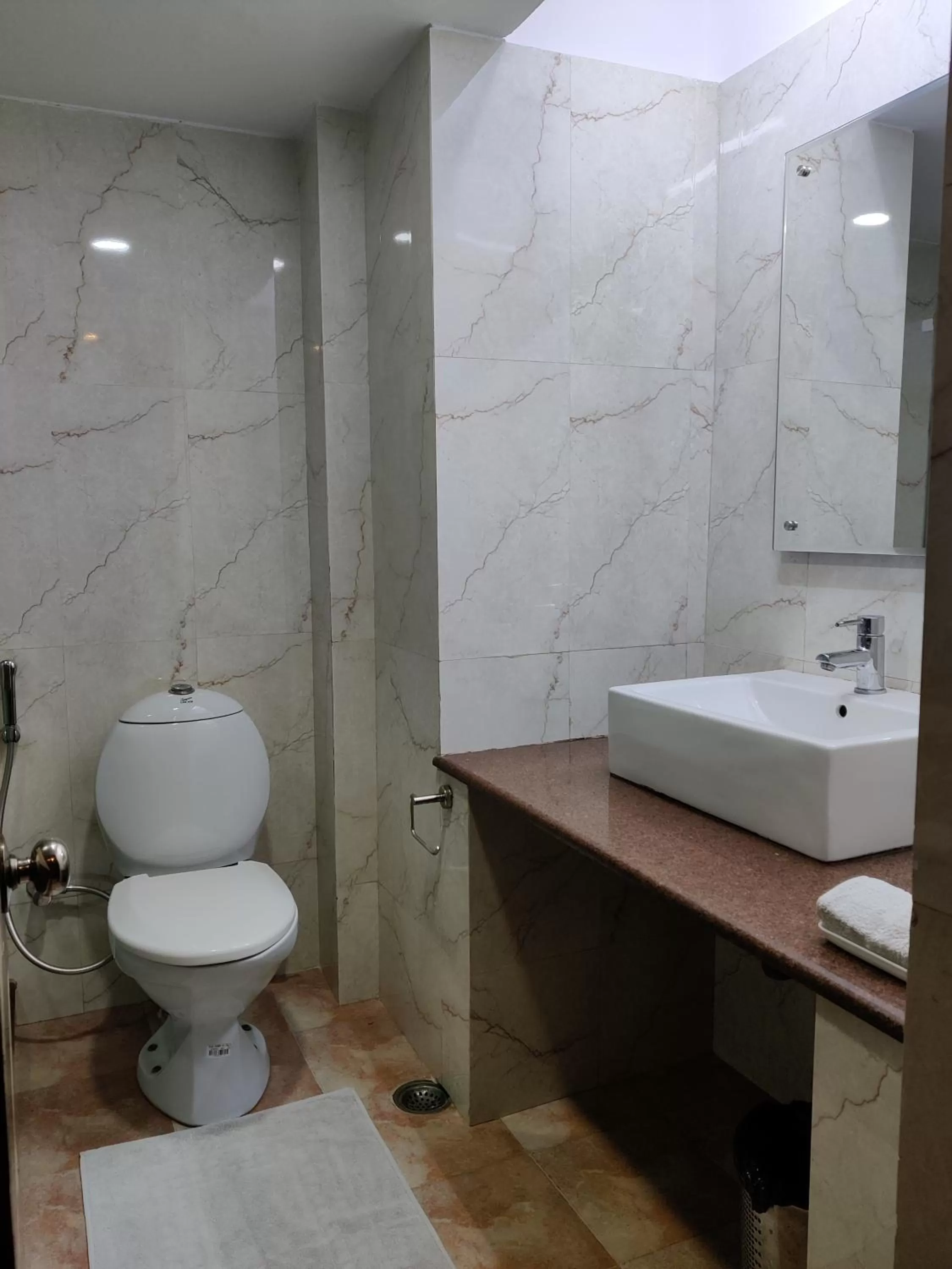 Bathroom in Hotel Shiva Continental