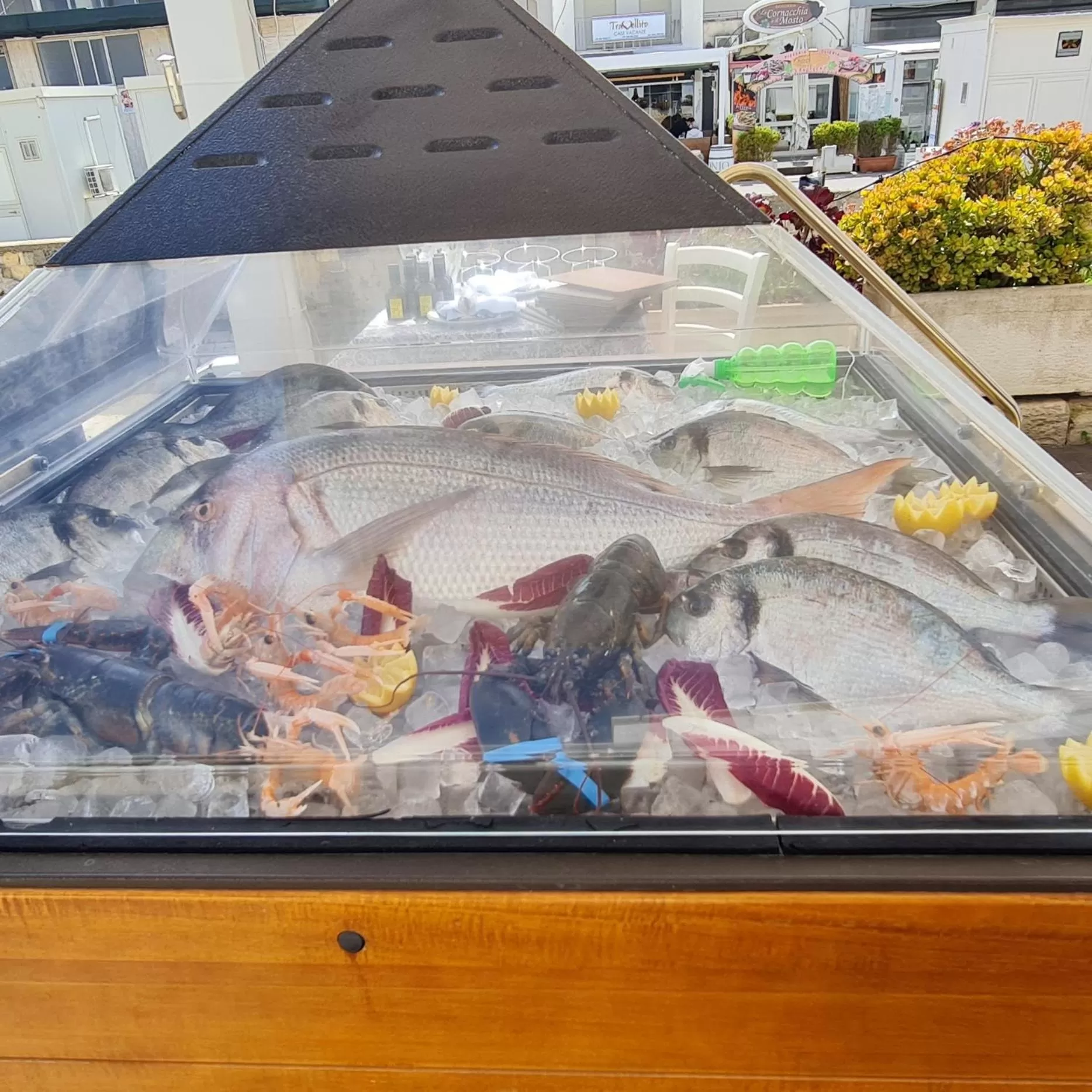 Fishing in Hotel Profumo Di Mare