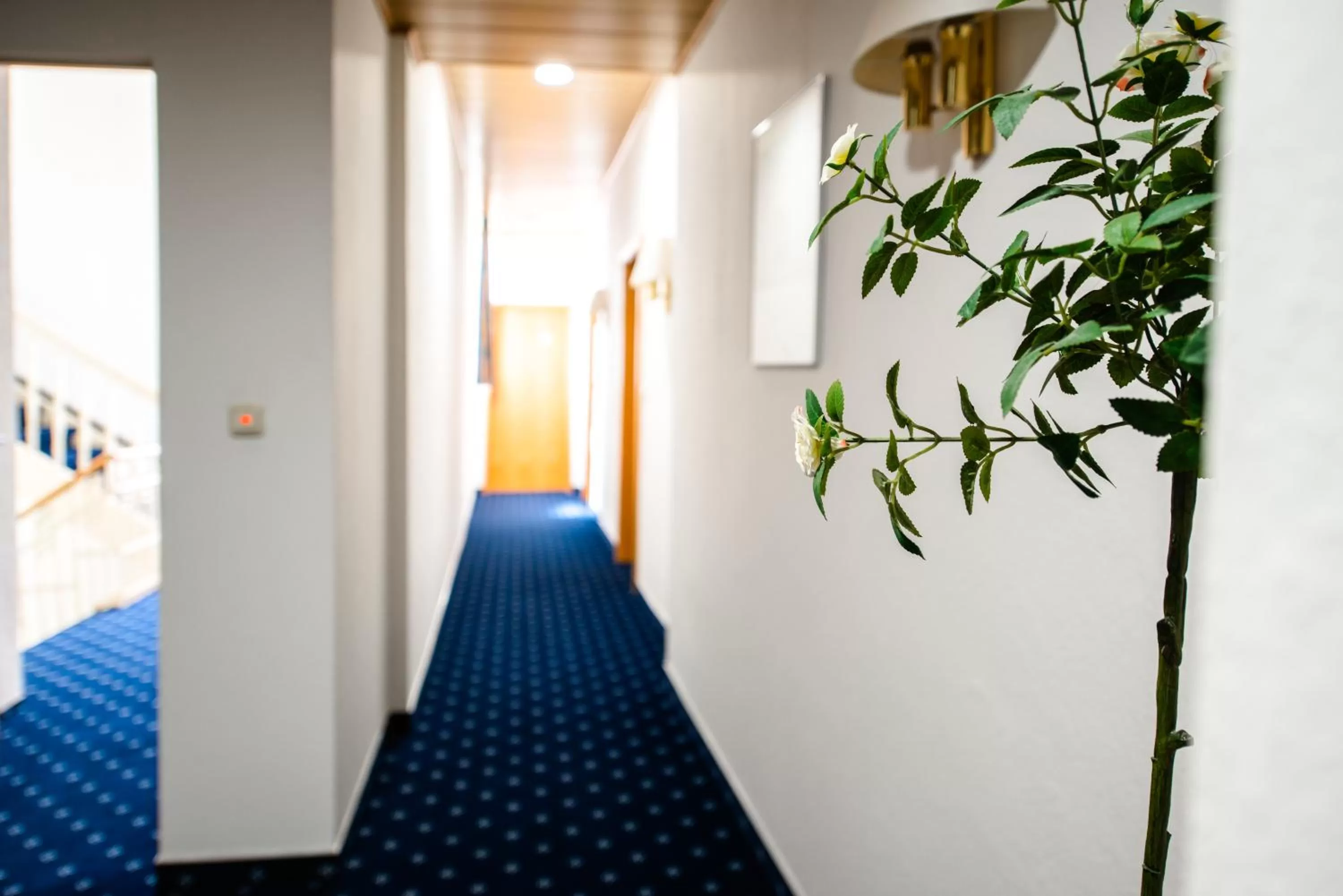 Hotel Fränkischer Hof