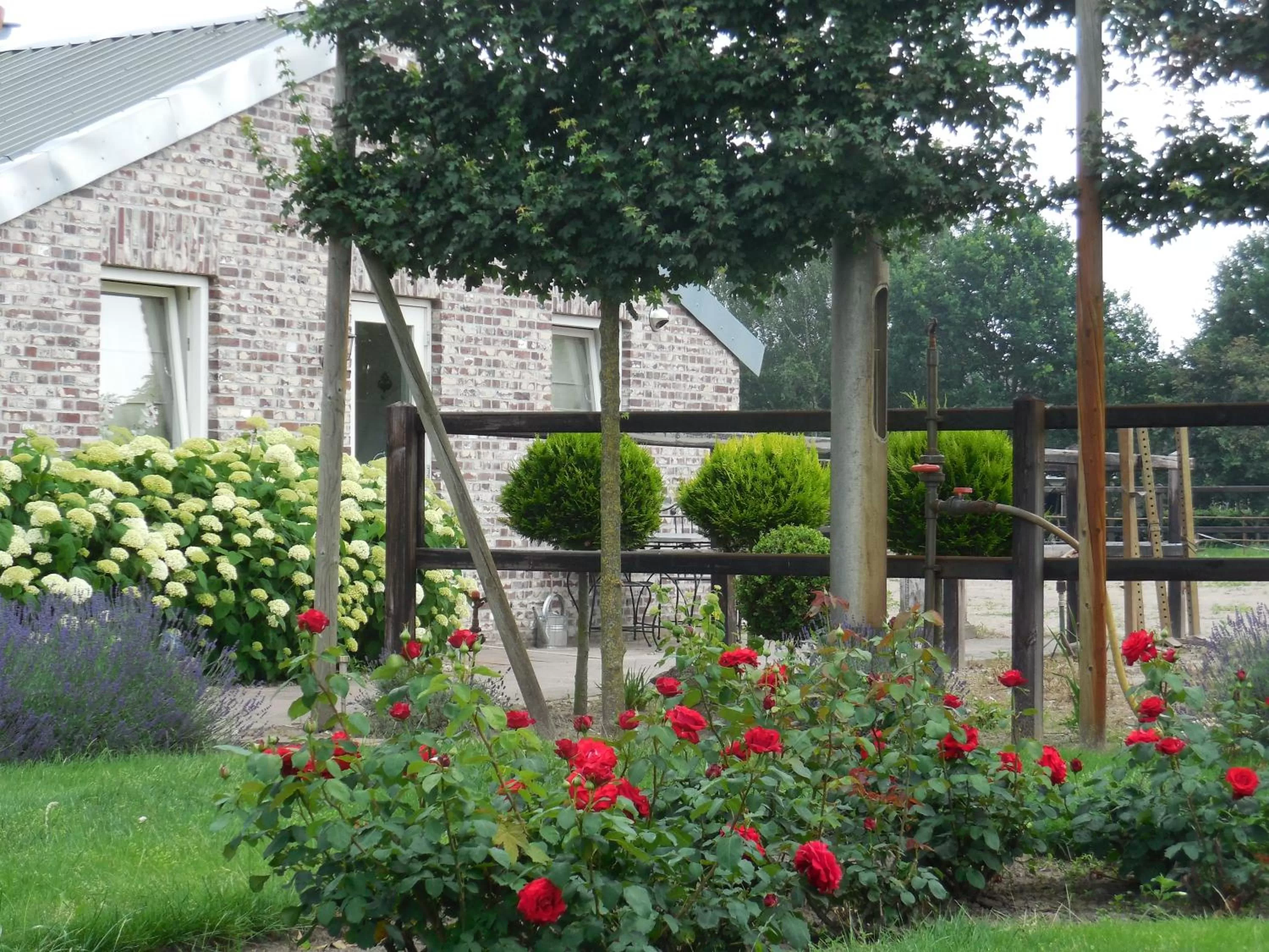 B & B " De 7 Sprong "