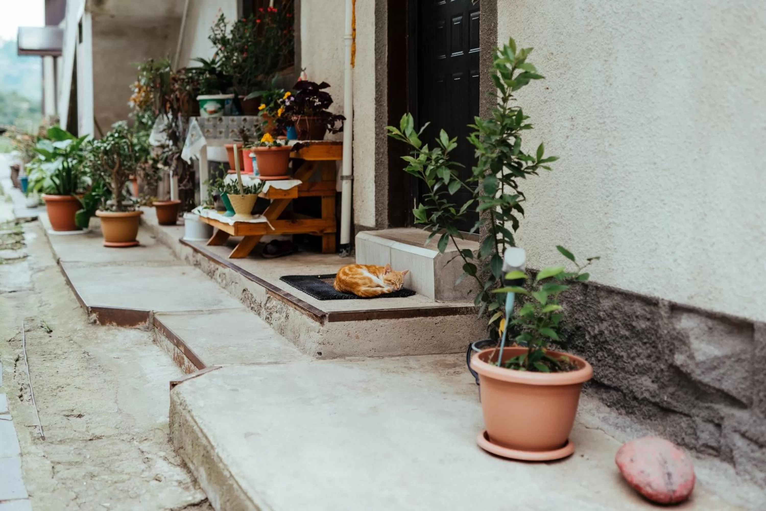 IRIS B&B in DEBED CANYON