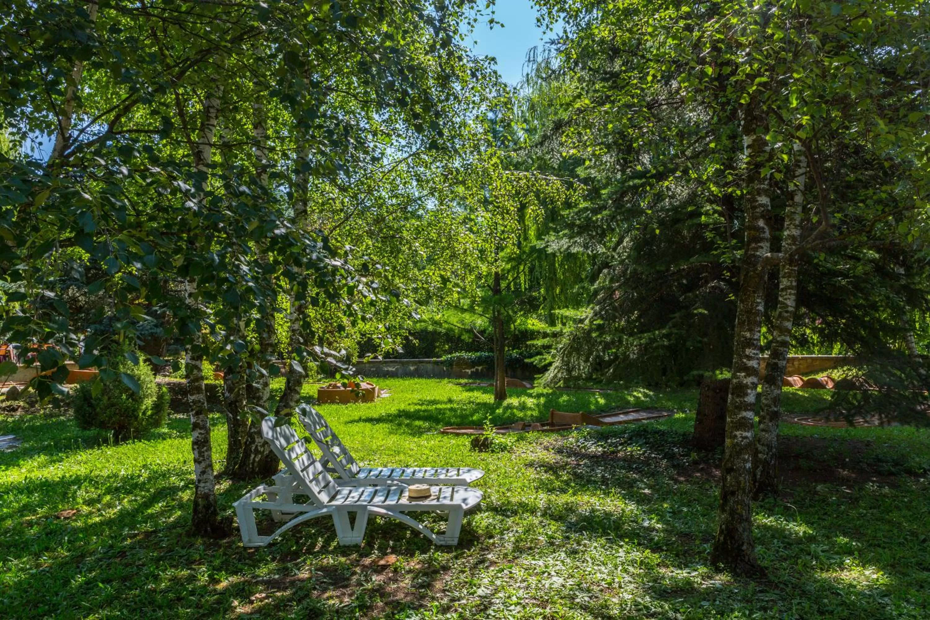 Garden in Hôtel Restaurant Le Pavillon