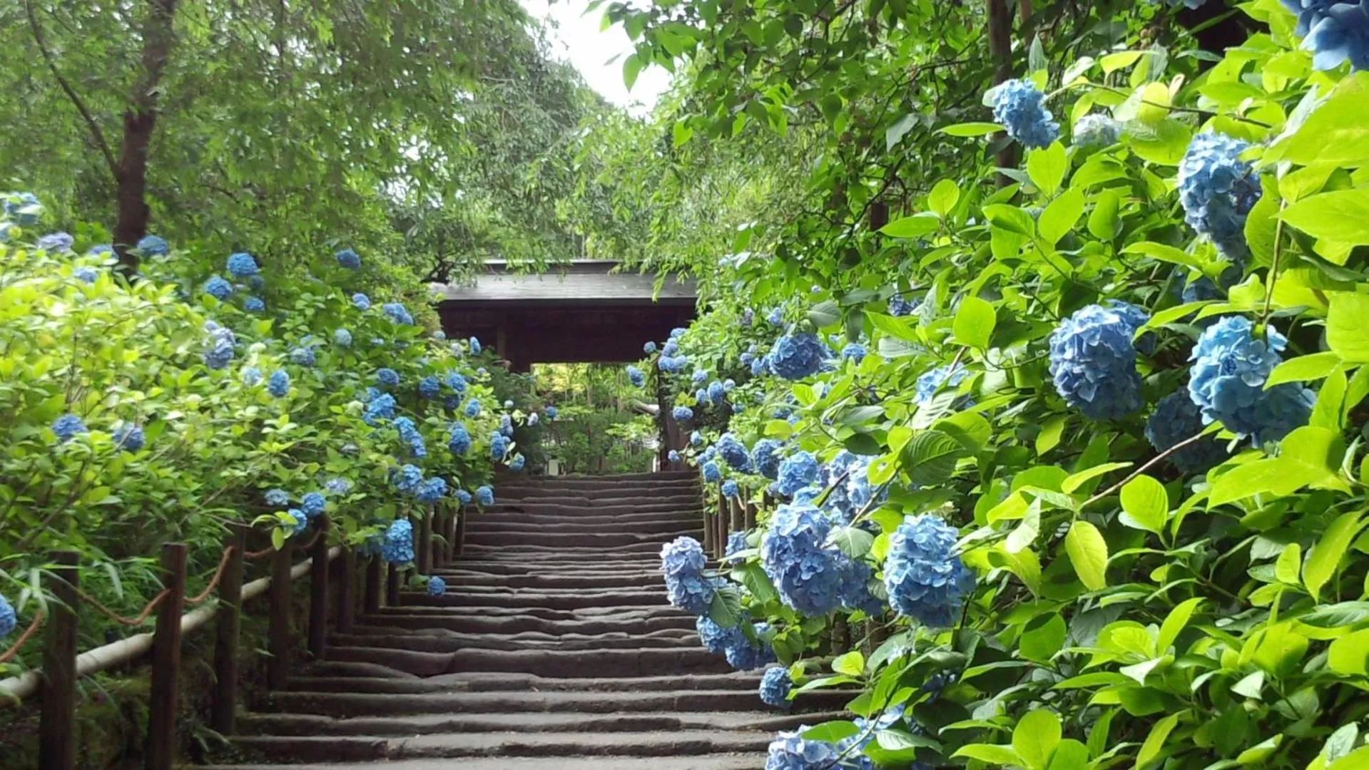 Nearby landmark in WeBase KAMAKURA