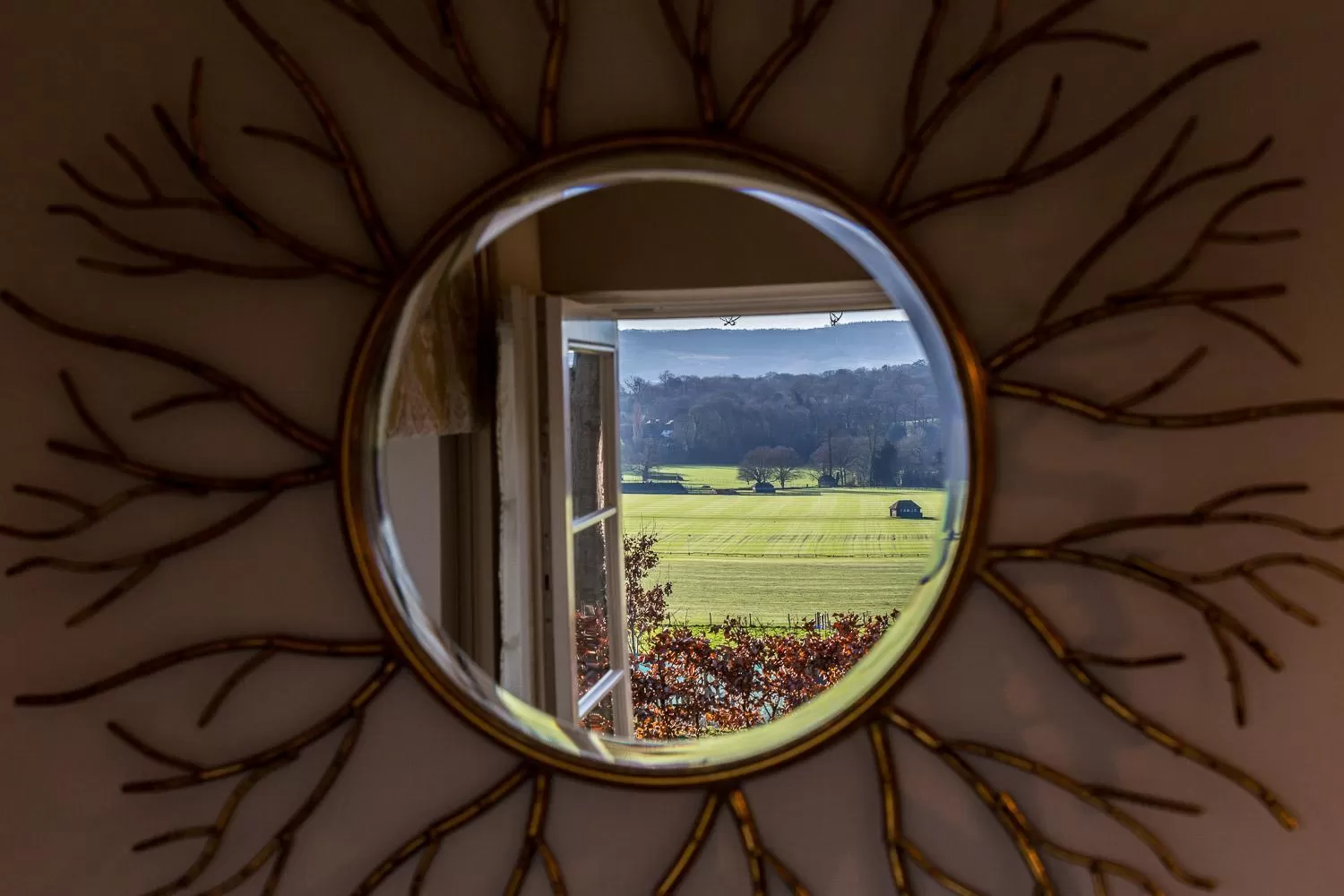 Natural landscape in Cowdray Lodge B&B rooms