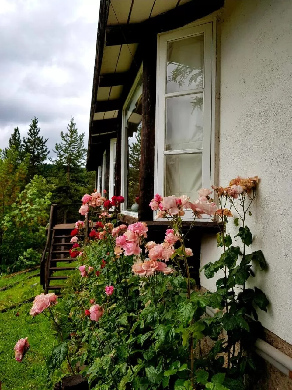 Property building in The Patagonian Lodge
