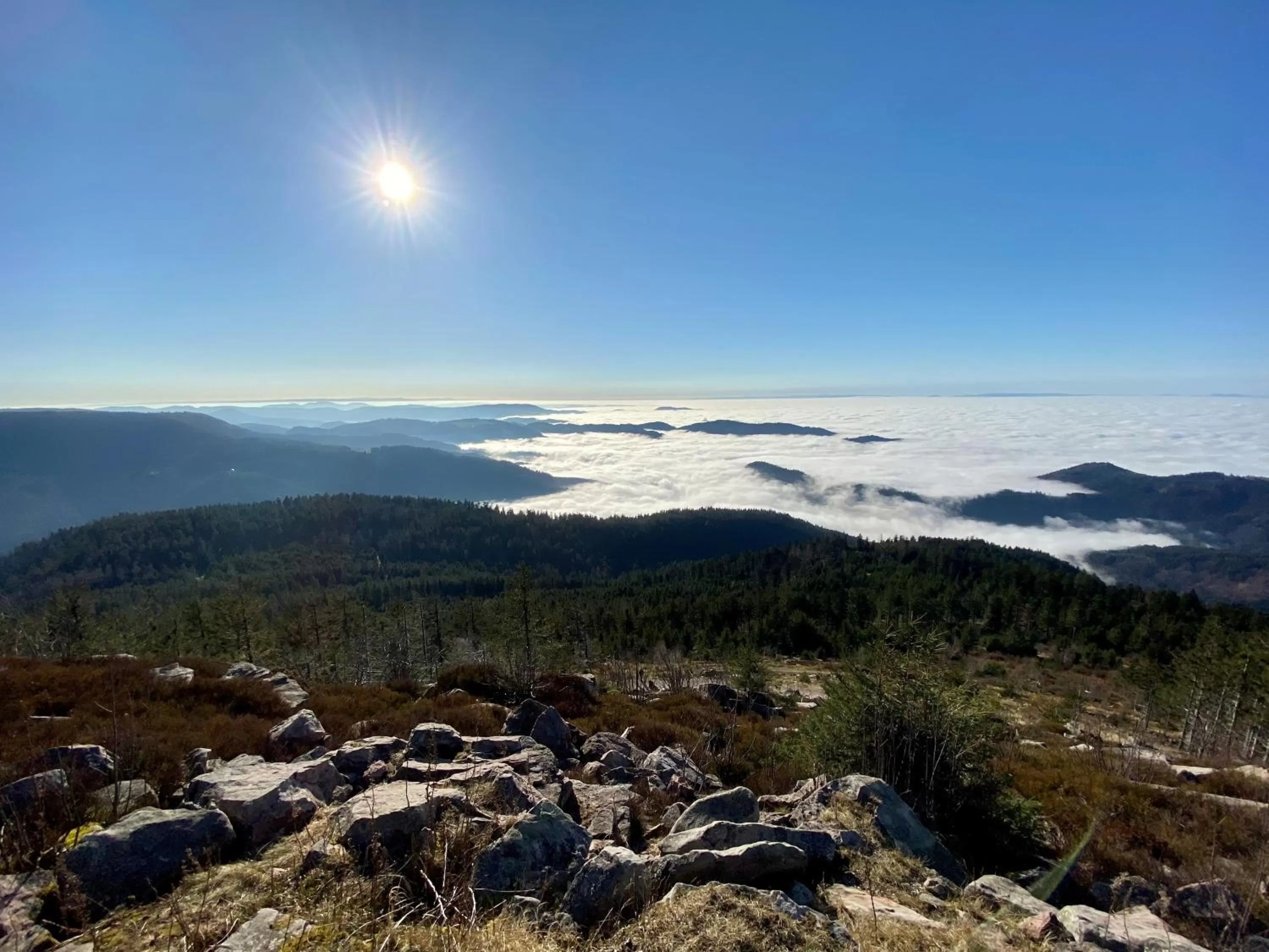 Natural landscape in RelaxHotel Tannenhof