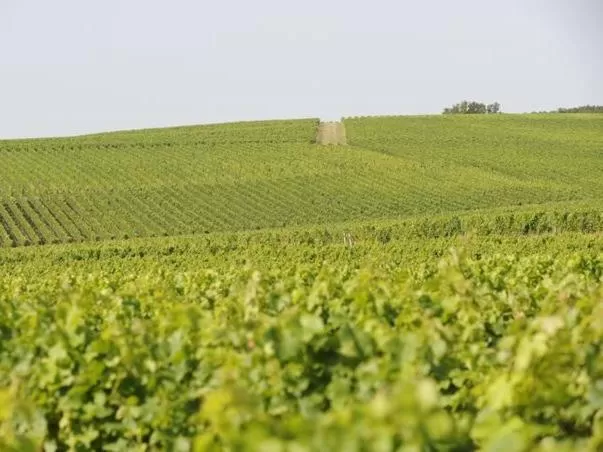 Other, Natural Landscape in Chateau La France