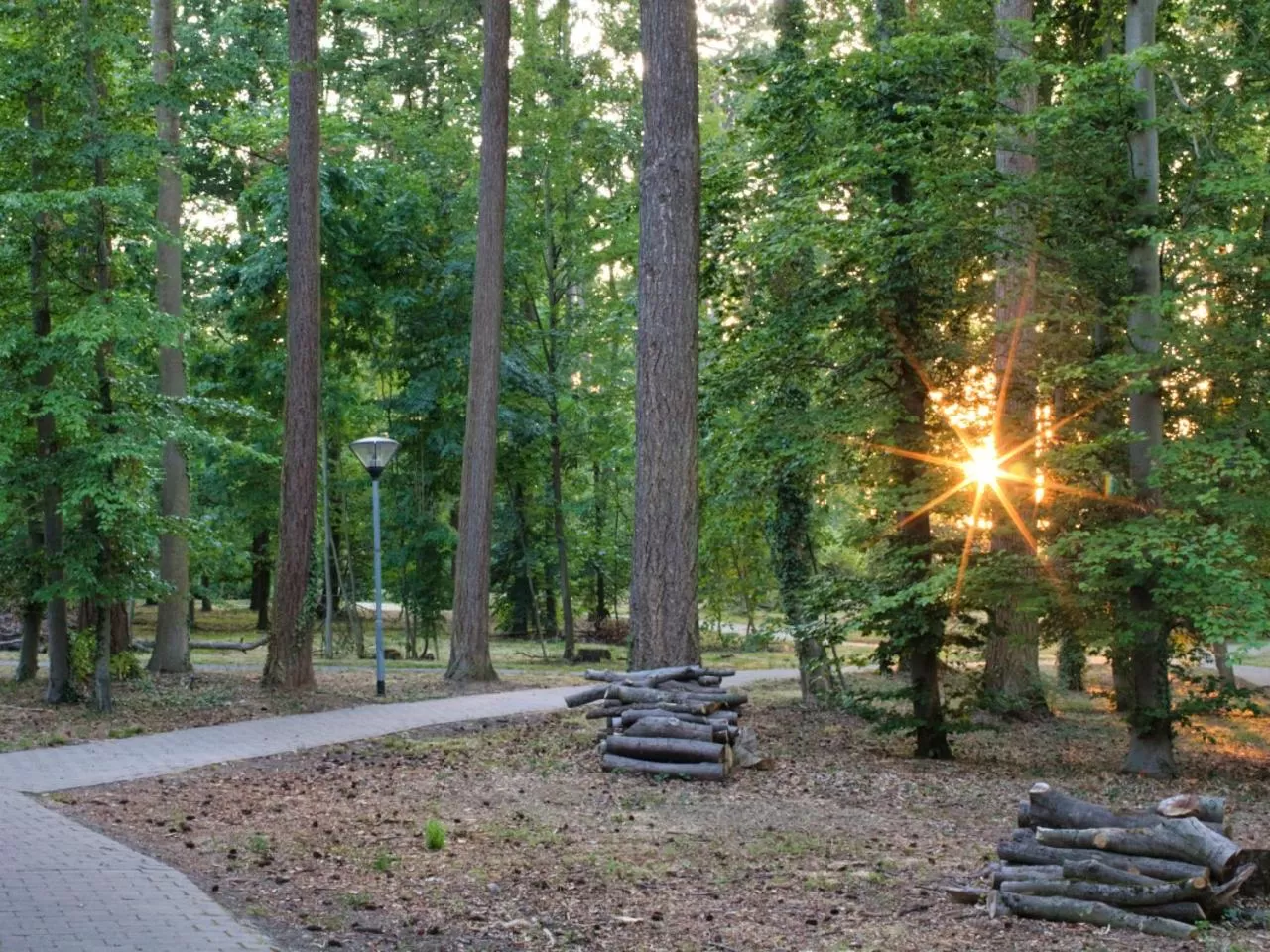 Natural landscape in Hotel Neckarblick