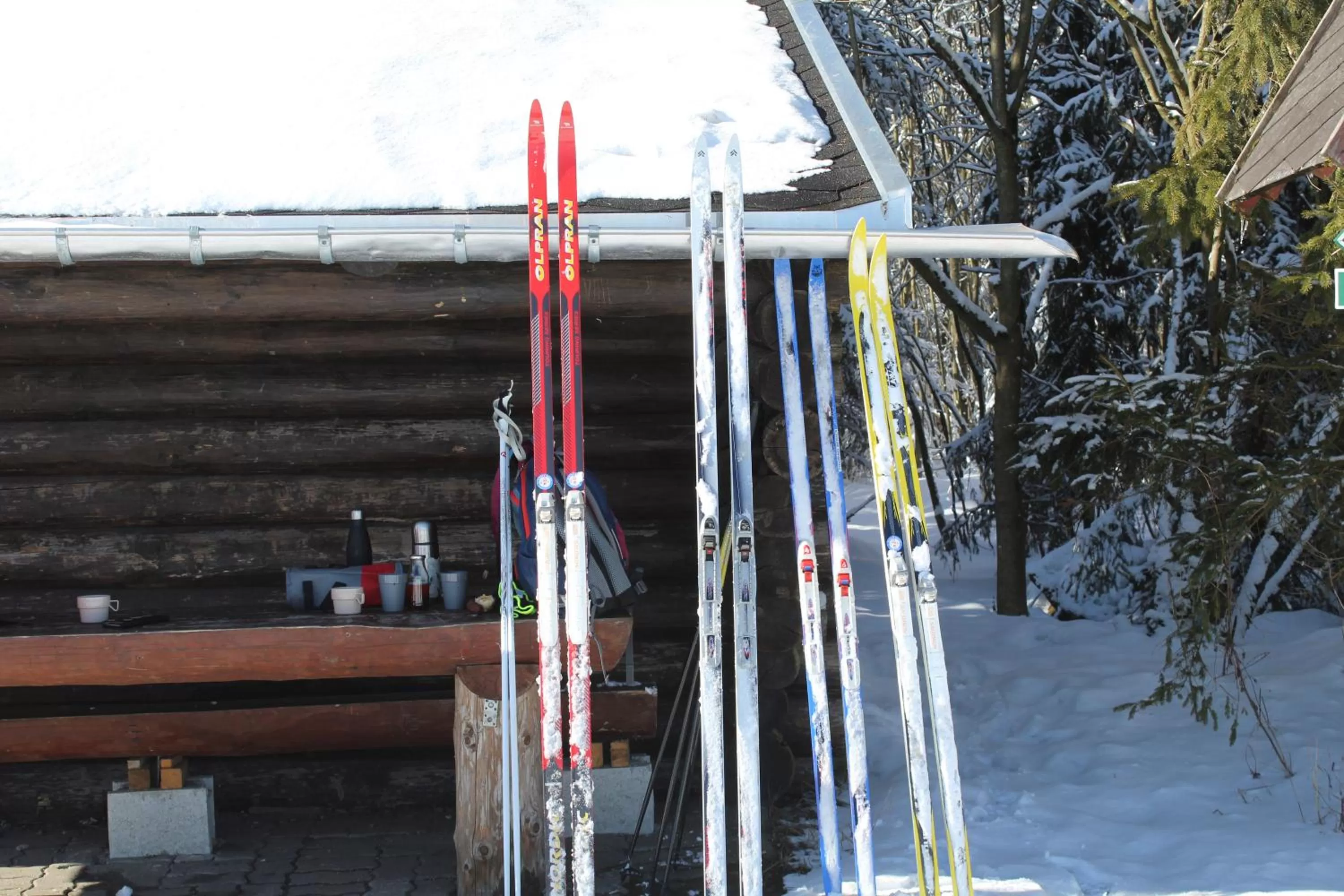Skiing in Hotel Heilbrunnen