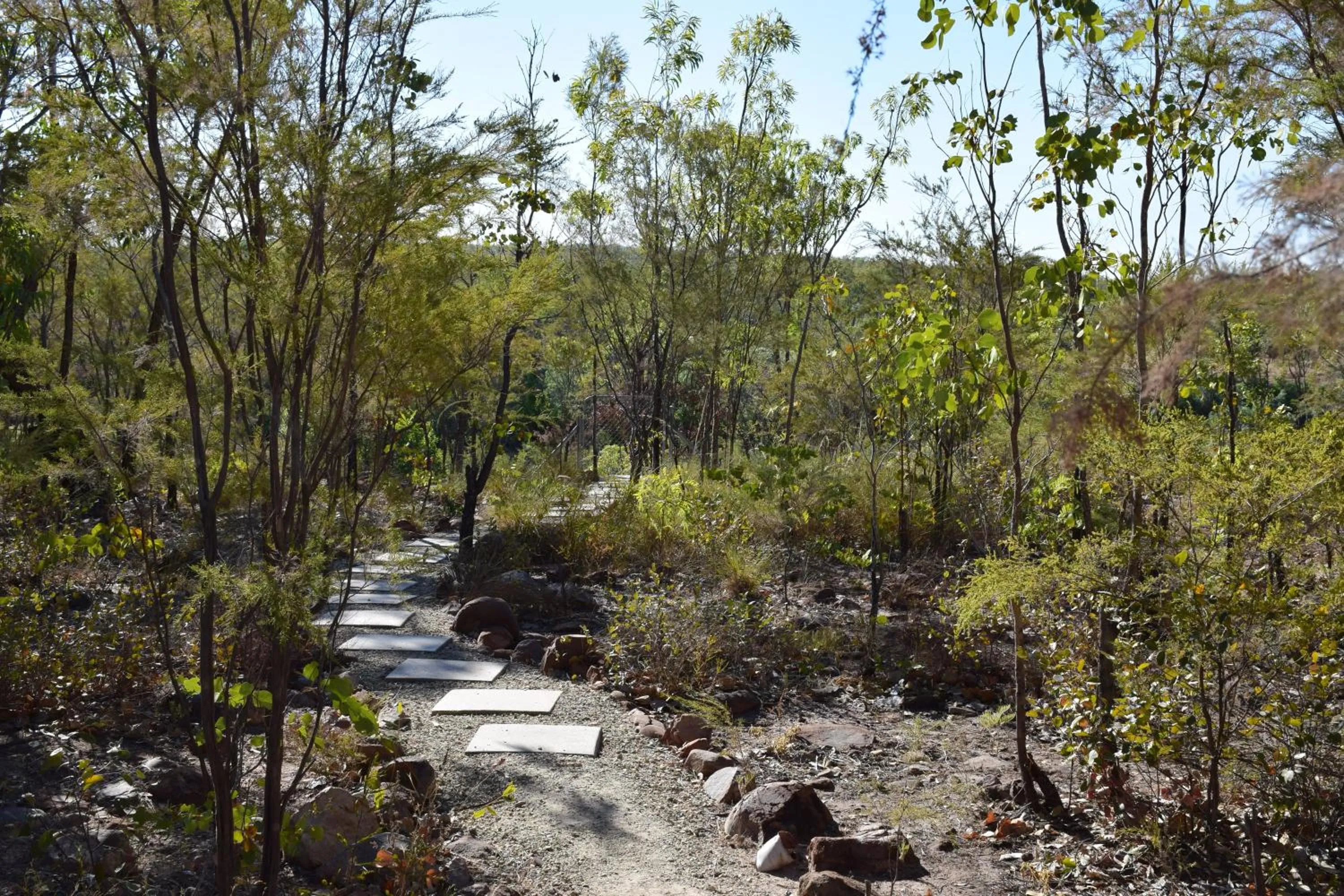 Area and facilities in Cicada Lodge